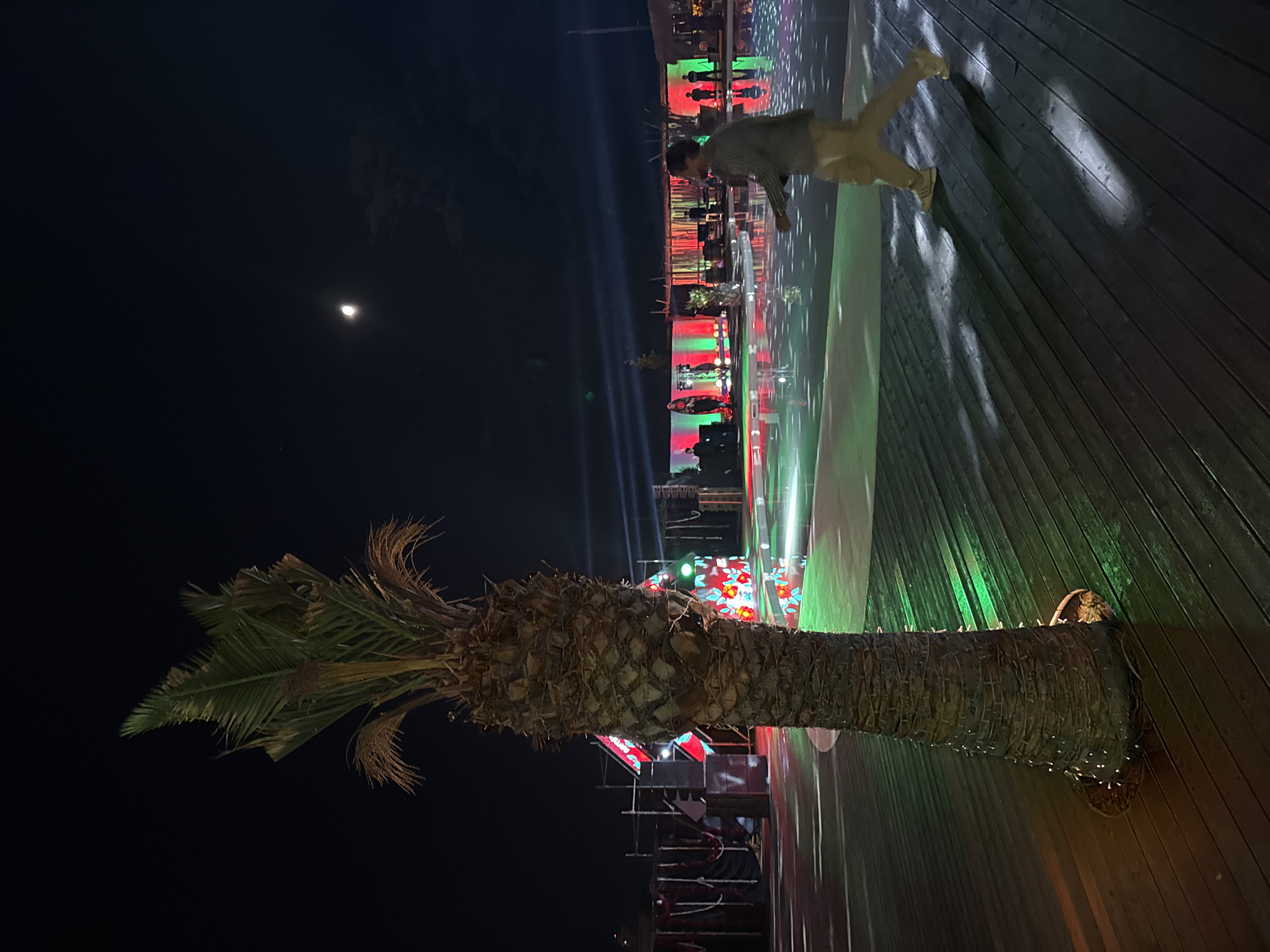 The image shows an outdoor scene at night, likely in a public area. A palm tree is in the foreground. Behind the palm tree, there is a stage setup with colorful lights, including red and green. A person wearing light-colored pants and a gray shirt is walking on a wooden boardwalk. The sky is dark, with a partial moon visible. The location is Parakar, Armenia.