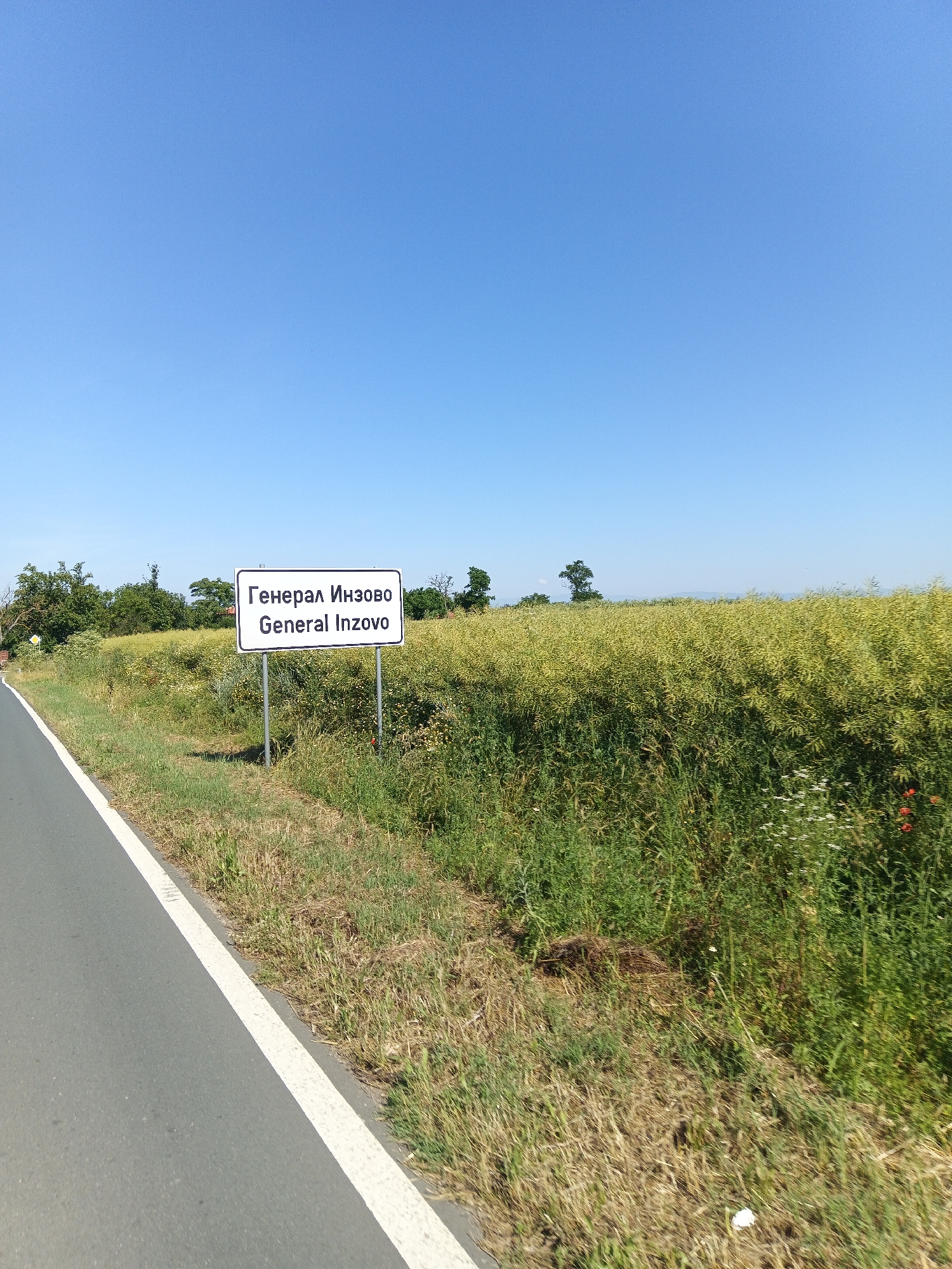 The image shows a road sign for "Генерал Инзово General Inzovo" in Bulgaria. The sign is white with black lettering and is mounted on two metal poles. It is situated on the side of a paved road, next to a field of tall, green and yellow vegetation. In the background, there are trees and a clear blue sky. The scene appears to be in a rural area.