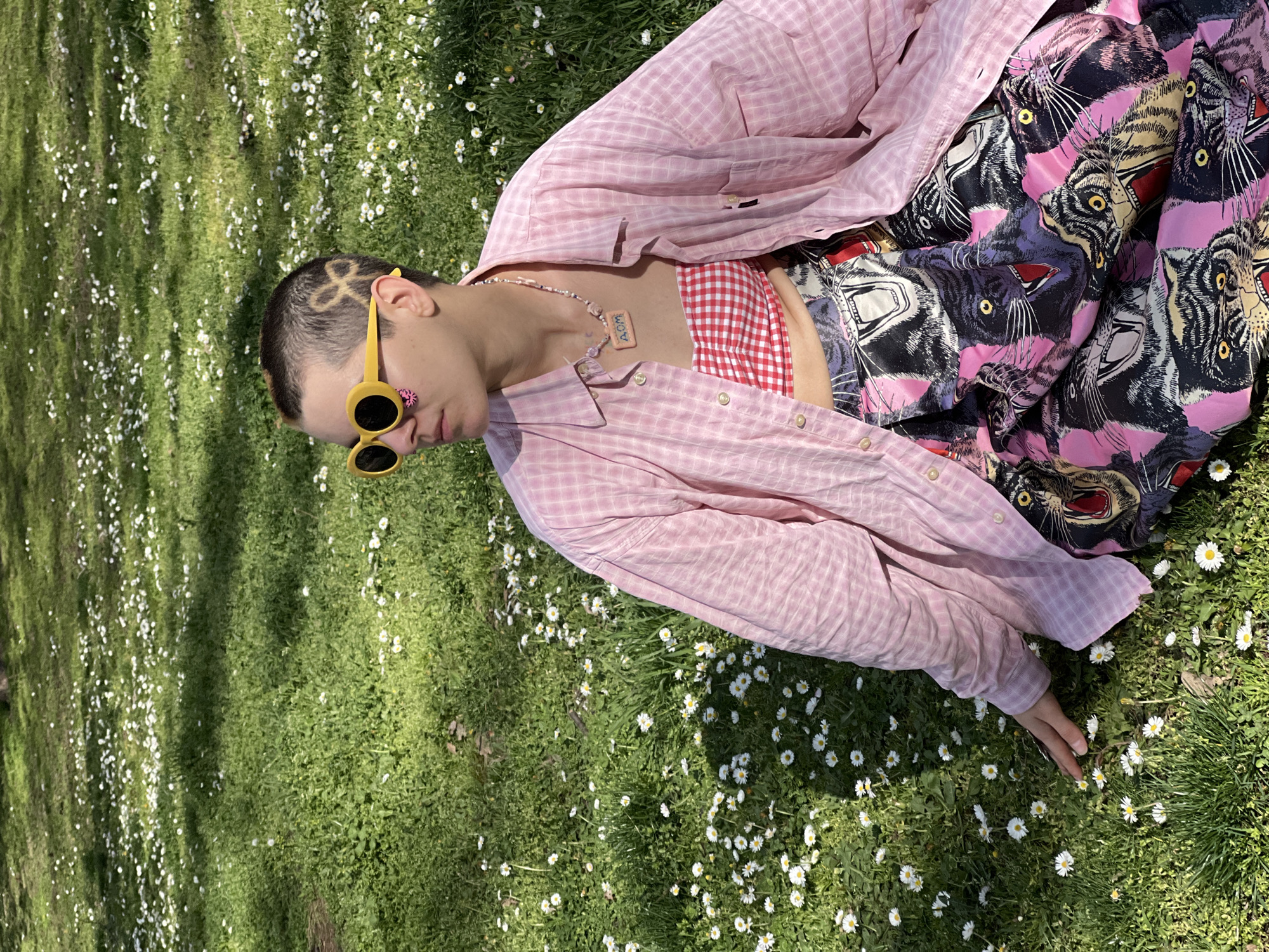 A person lies on their side on a lawn in the city of Palilula Urban Municipality, Serbia. They are wearing yellow sunglasses, a pink plaid shirt, a red and white checkered top, and tiger-print bottoms. They have a cloverleaf design shaved into their hair. The lawn is covered in grass and small white flowers.