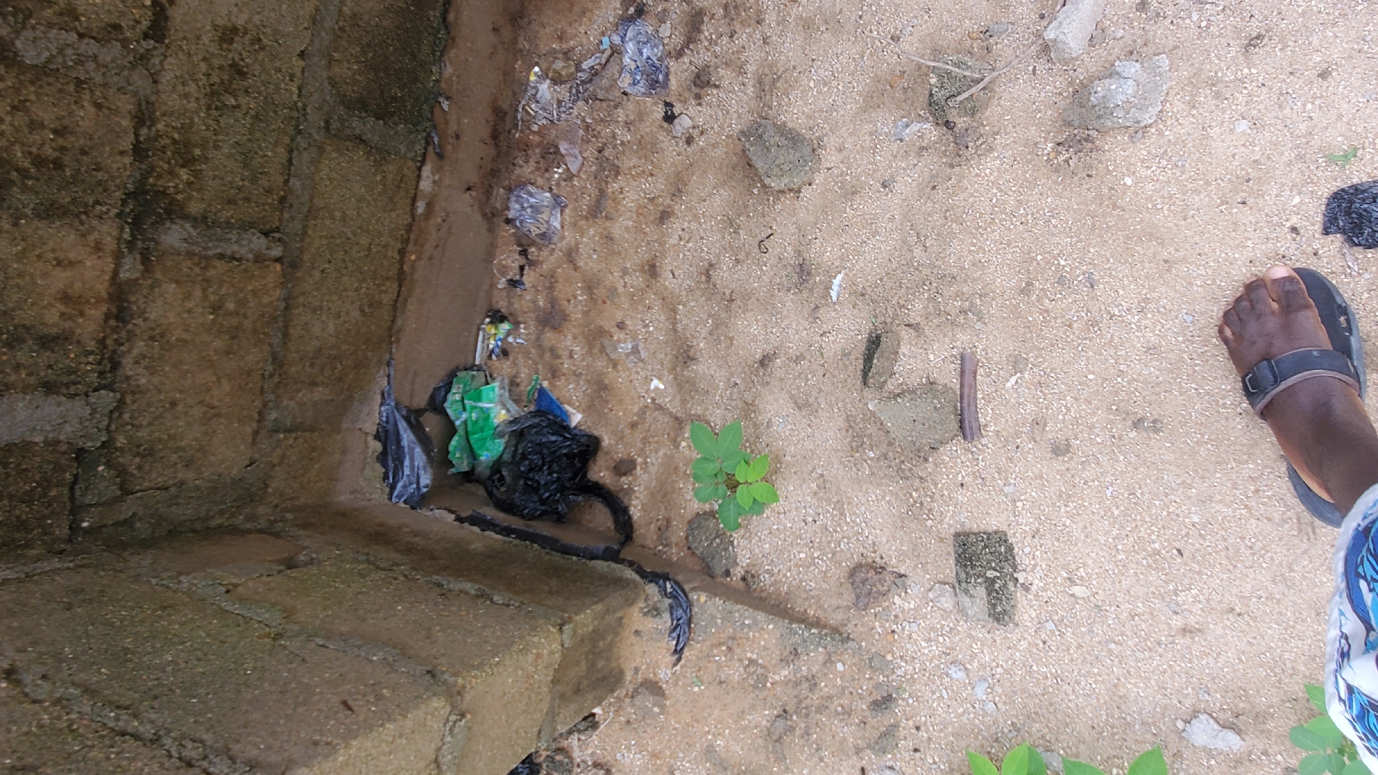 The image depicts an outdoor scene, likely in a sandy, unpaved area of Jalingo, Nigeria. A corner of a building constructed with rough, unpainted cement blocks forms the background. In the corner, near the base of the wall, is accumulated debris, including black plastic bags and colorful pieces of what appears to be trash. A small, green seedling is growing in the sand near the debris. The ground is predominantly sandy with scattered small pebbles and occasional larger pieces of rubble. In the foreground, the lower portion of a person's right leg and foot is visible, wearing a dark sandal. The person is standing on the sandy ground.