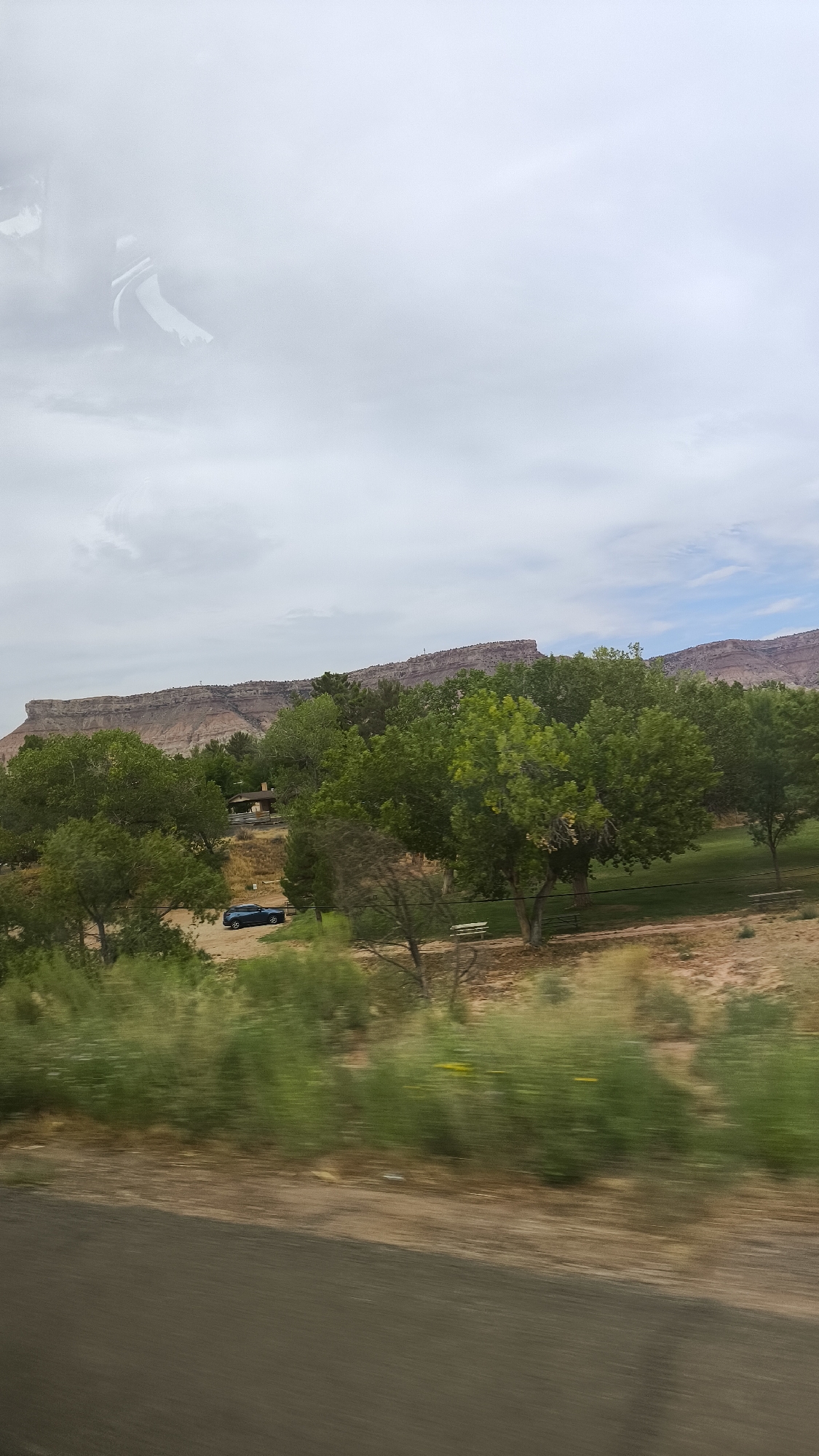 The image depicts a scenic view of a park area with a flat-topped mesa in the background. The mesa exhibits layered rock formations in shades of red and brown. In the foreground, a variety of trees with lush green foliage dominate the landscape, interspersed with patches of dry grass and sandy soil. A dark blue car is parked on a dirt path near a small, rustic building with a brown roof. A white park bench is visible on a grassy area to the right. The sky is overcast with diffuse clouds. The image appears to have been taken from a moving vehicle, as indicated by the motion blur in the foreground. The scene suggests a natural park or recreational area, likely in a desert or semi-arid environment, consistent with the geography of Virgin, Utah.