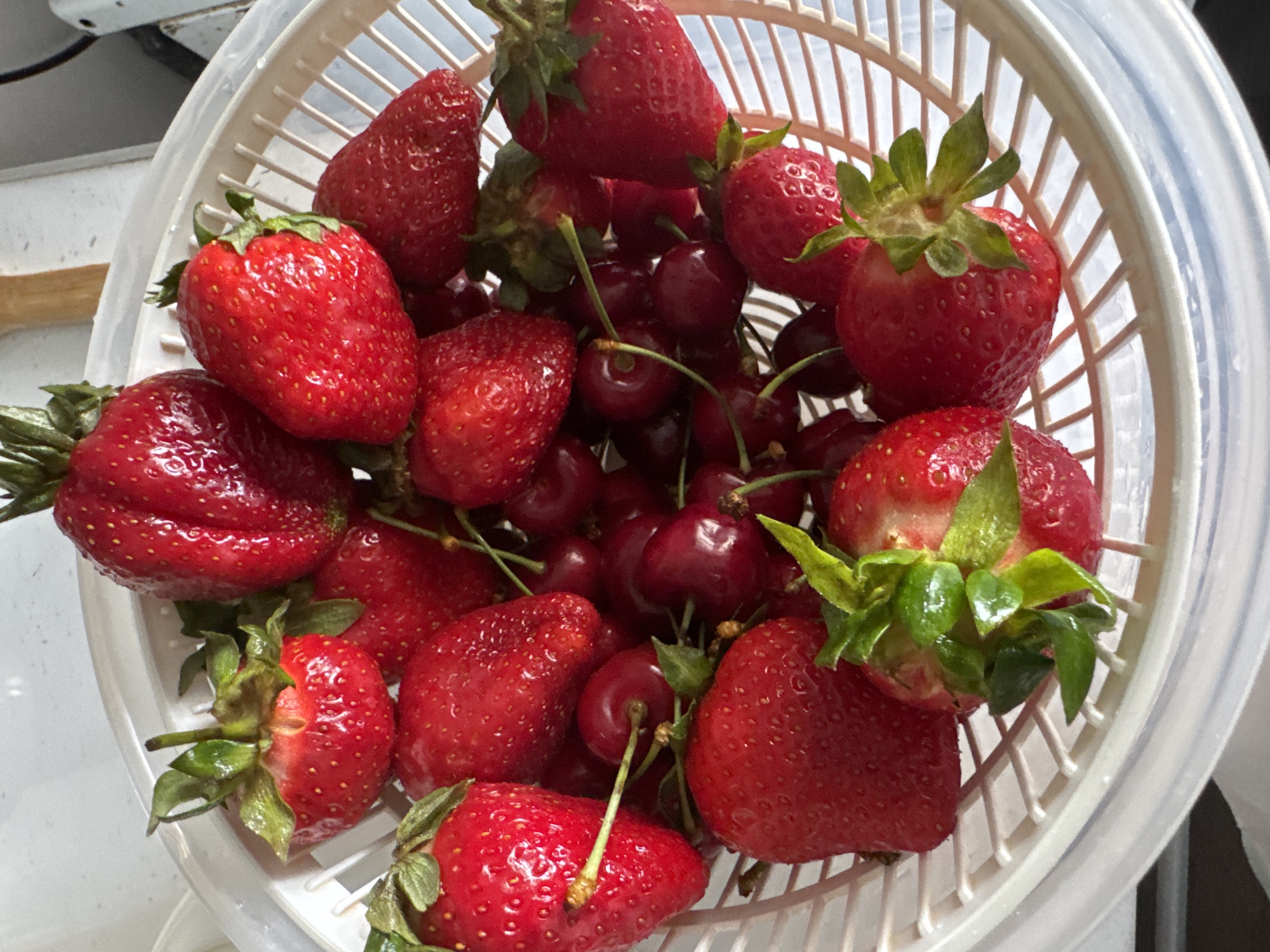A vibrant collection of fresh, ripe red strawberries and dark red cherries fills a white plastic colander or strainer basket. The strawberries, some glistening with water droplets, retain their green leafy caps and stems, while the cherries also have their delicate green or brown stems. The fruits appear freshly washed and are arranged densely within the basket.
The image is a close-up, slightly overhead shot, focusing entirely on the produce. The background is soft and out of focus, revealing hints of a light-colored surface, possibly a kitchen counter or sink, suggesting an indoor setting. The grated pattern of the colander's bottom and sides is clearly visible.
There are no people or visible text in the image. The rich red hues of the berries dominate the scene, evoking freshness and health. No specific time of day or weather conditions can be discerned from the visual information provided. While the location context of Chaikovsky, Russia, is given, there are no specific visual cues within the image itself to identify this particular geographic location.