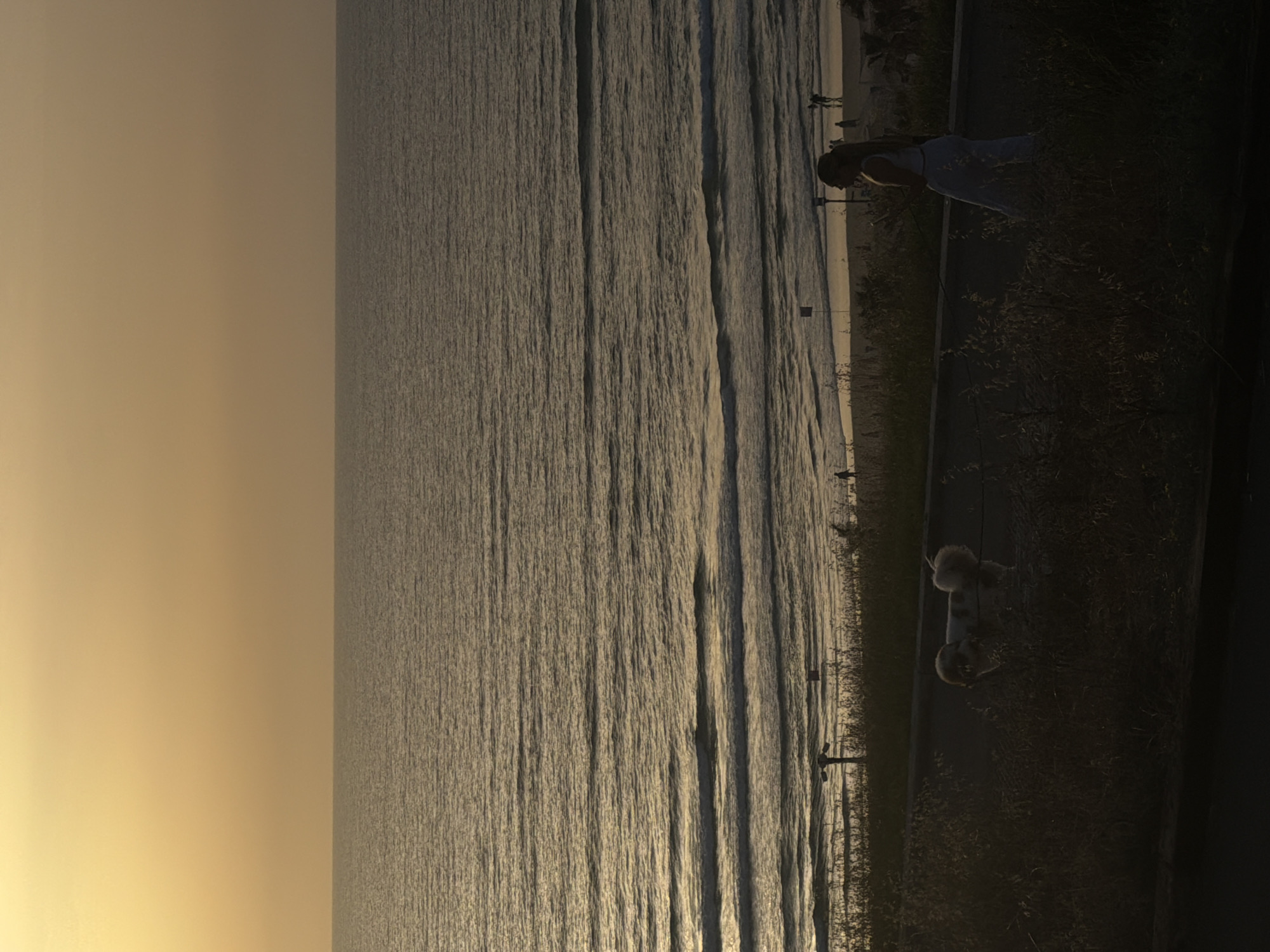 The image depicts a sideways view of a beach at Rishon LeZion, Israel, at sunset. The sky is a hazy yellow. Waves break onto the beach, which is adjacent to a sidewalk lined with vegetation. A woman walks a small dog on the sidewalk. Other people are faintly visible on the beach in the distance. Utility poles line the beach.