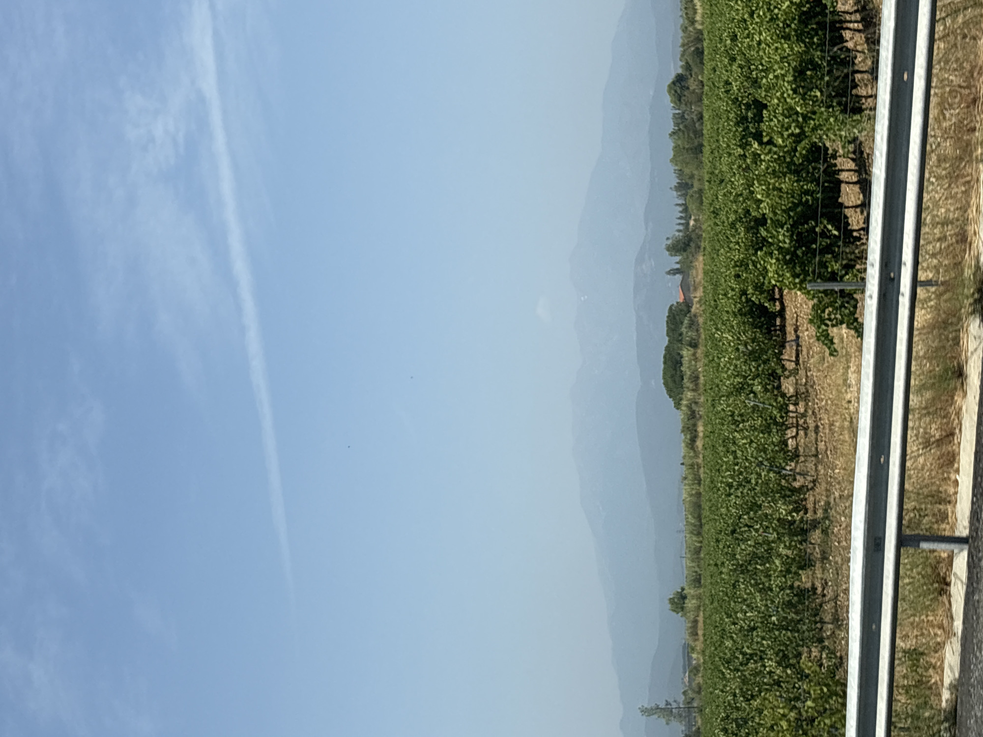 The image depicts a rural landscape under a clear blue sky with a faint contrail. In the foreground, a metal guardrail runs horizontally across the frame, separating the viewer from dry, scrubby vegetation. Beyond the guardrail, a vast vineyard stretches out, with rows of lush green grapevines. The soil in and around the vineyard appears dry and brown. In the mid-ground, scattered trees and a small building with a red roof are visible. The background is dominated by a range of hazy blue mountains. The scene appears to be a roadside view of agricultural land and distant mountains. Given the context provided, this scene is located in Ponteilla, France.