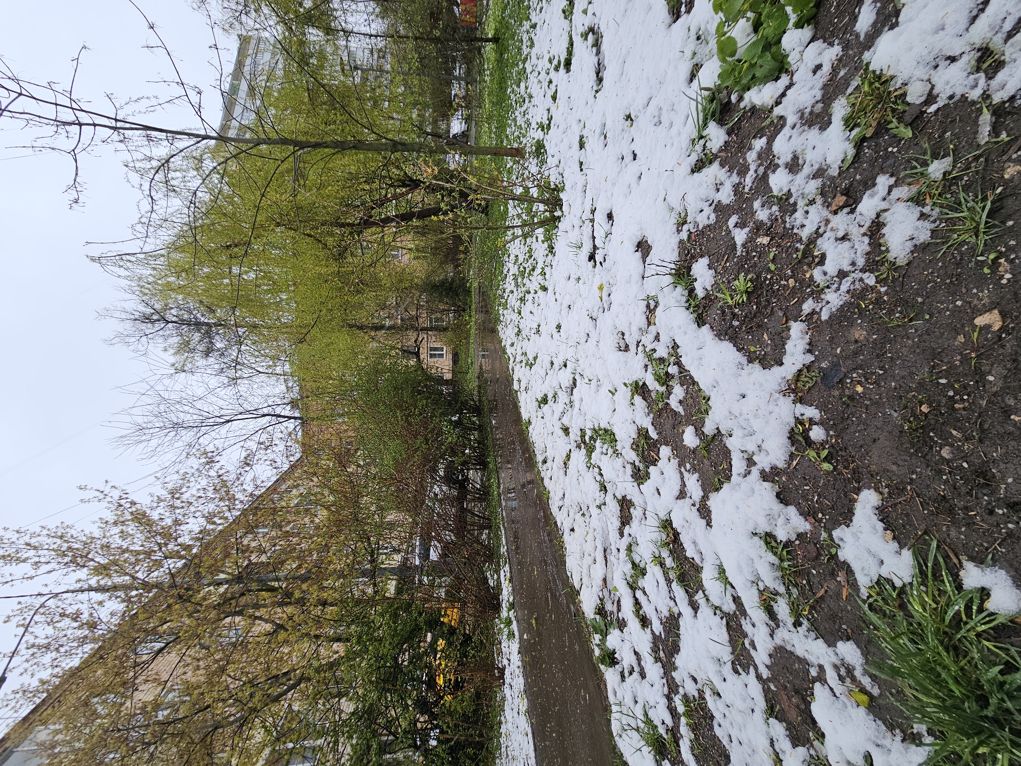 This media file captures an outdoor scene in Khimki, Russia, depicting a park-like or residential area during what appears to be early spring. The image is taken from a low angle, looking across a landscape with a path, patchy snow, and trees, with buildings in the background.
In the foreground and mid-ground, a narrow, dark-colored path or sidewalk runs from left to right, partially wet. To the right of the path, the ground is a mix of melting snow patches, dark soil, and clusters of bright green grass and emerging plants.
Trees with varying amounts of foliage line the path and fill the mid-ground. Some trees have bare branches, indicating recent winter, while others display vibrant new green leaves, suggesting the arrival of spring. In the background, several multi-story residential buildings are visible through and above the tree canopy. One building, towards the left, appears light-colored (possibly white or light grey) with multiple windows. Another building, further back and to the right, has a reddish-brown facade.
The sky is overcast and pale, suggesting a cloudy day. There are no people visible in the image, nor is there any discernible text. The presence of both snow and fresh green foliage indicates a transitional period, likely a late snowfall in spring or lingering snow from a mild winter. The scene is static, capturing the natural and built environment without any specific activity or event taking place.