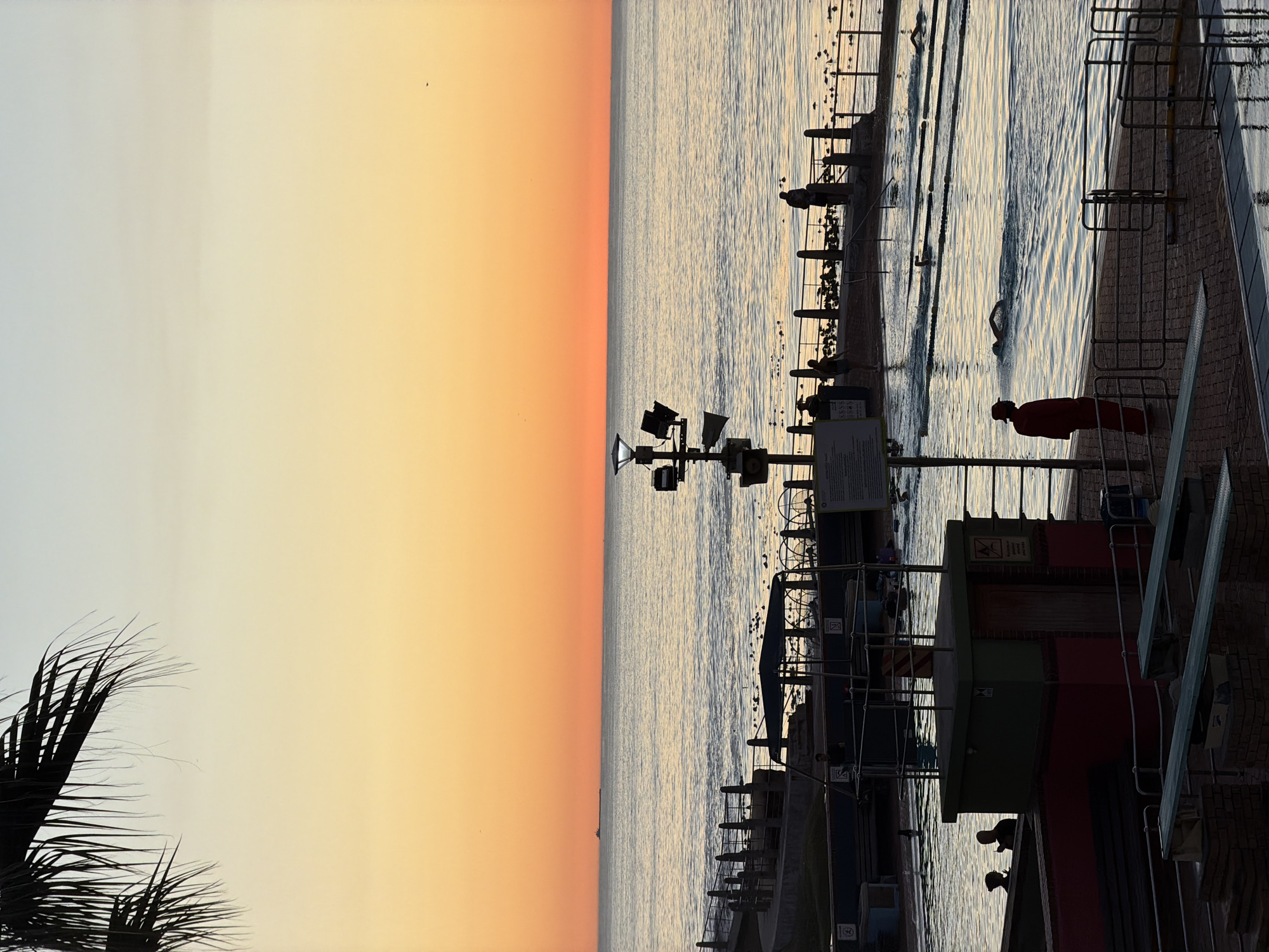 The image depicts a swimming pool next to the ocean at sunrise or sunset in Cape Town, South Africa. The sky is orange in the upper left. To the right of the horizon is the ocean. The image shows a pool running parallel to the ocean, with lane dividers. There is a swimmer in the pool and a person in a red jacket standing next to the pool. The pool is lined with railings and infrastructure. The image has been rotated ninety degrees clockwise. A palm tree is visible in the lower left.