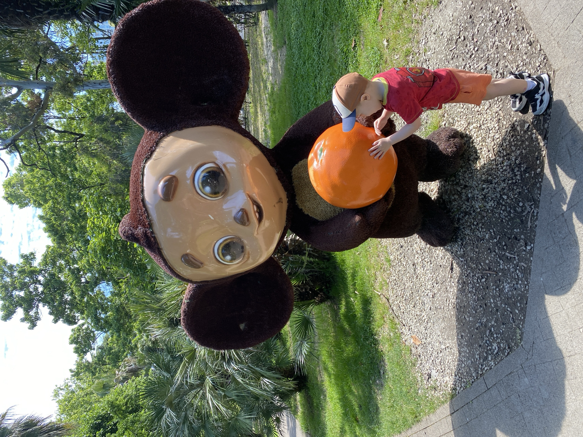 A young boy interacts with a large statue of the iconic Soviet cartoon character, Cheburashka, in an outdoor setting in Sochi, Russia. The statue depicts Cheburashka as a dark brown, furry-textured creature with oversized, rounded ears, a lighter brown face, and large, expressive eyes. It is prominently holding a bright orange, spherical object, resembling a large orange or tangerine, against its body.
The child, dressed in a red t-shirt, orange shorts, black and white sneakers, and a brown and white baseball cap, is leaning forward and gently touching the orange object held by the statue with both hands. His body language suggests curiosity and engagement with the cheerful character.
The scene is set outdoors on a bright, sunny day, with clear skies visible in the upper background. Strong shadows are cast on the ground, indicating ample sunlight. The environment is lush with greenery, featuring tall trees with dense green leaves and several palm trees, suggesting a warm or subtropical climate. The ground beneath the child's feet is covered with light-colored gravel, bordered by a paved pathway and patches of vibrant green grass. The overall atmosphere is pleasant and inviting. No visible text is present in the image.