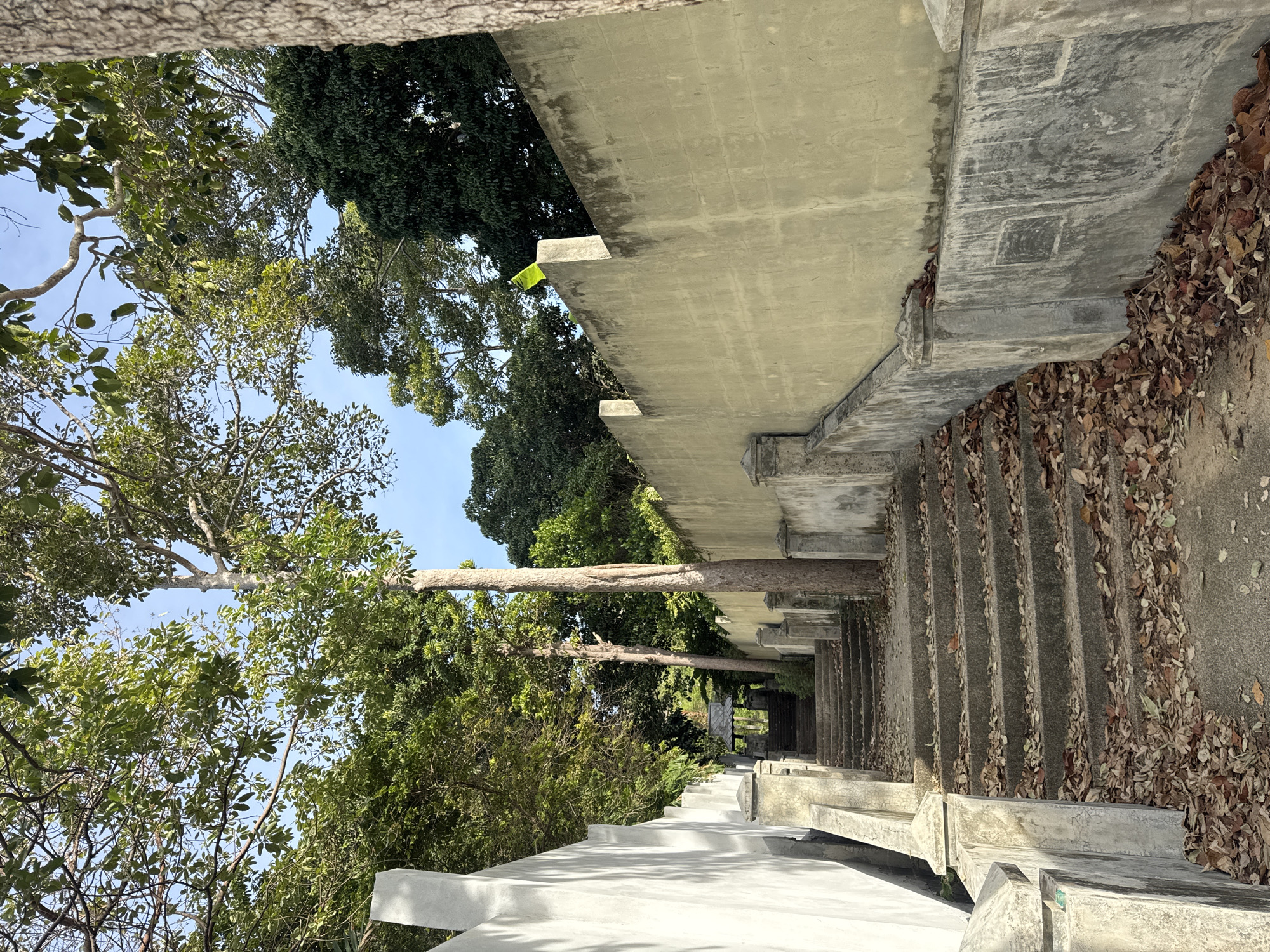 An outdoor, eye-level, vertical shot captures a worn stone staircase leading upwards into a canopy of green trees. The steps are partially covered in fallen brown leaves. The staircase is flanked by textured, pale yellow walls on the right and a smooth white wall on the left. The walls have ornate stone posts at intervals. In the distance, a small, dark structure with a peaked roof is visible at the top of the stairs. The sky is a clear, light blue.