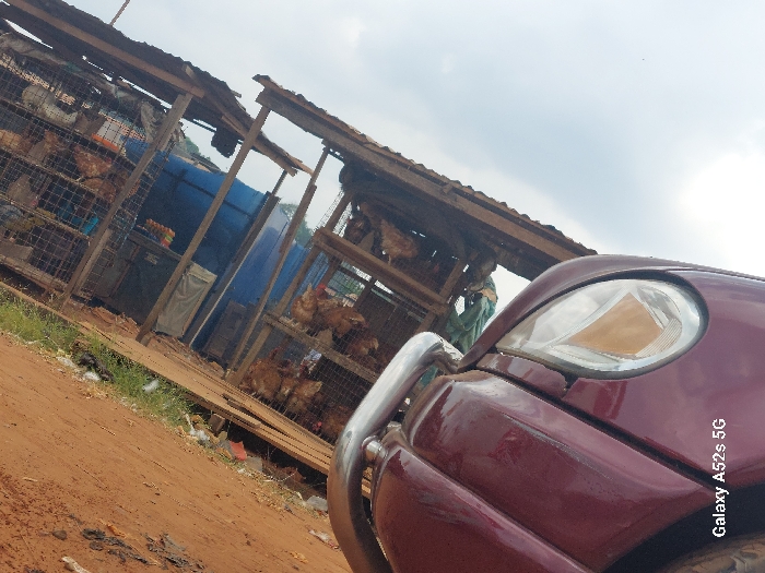 This image, captured in Awkuzu, Nigeria, presents an outdoor scene featuring a makeshift market stall adjacent to an unpaved dirt road. In the immediate foreground, the front right portion of a dark red vehicle is visible, showing its fender, headlight, and a chrome bull bar. The ground beneath the vehicle and extending into the midground is a reddish-brown dirt surface, exhibiting sparse green vegetation and scattered debris along its edge. Dominating the center of the image is a multi-tiered, open-air market stall constructed from rough wooden framing and wire mesh. Numerous live chickens are housed within multiple wire cages stacked vertically within this structure. A blue tarp or fabric is utilized as a partial covering or backdrop within the stall. Indistinct market goods are also visible within the stall structure. The upper background features a light blue sky with scattered white clouds. No people are discernible in the scene.