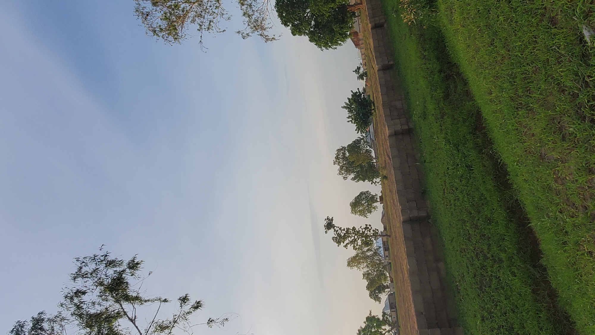 The image depicts a daytime view of a residential area in Jalingo, Nigeria. In the foreground, a lush green grassy slope runs diagonally from the bottom left towards the center right. Behind the slope, a wall constructed from concrete blocks runs horizontally across the mid-ground, forming a barrier. Beyond the wall, several scattered trees with green foliage are visible. In the background, a few residential buildings with visible roofs can be seen amongst the trees, suggesting a semi-urban or suburban setting. The sky above is a pale blue with thin, wispy clouds. The overall scene suggests a serene, possibly semi-rural environment on a clear day. There are no people or animals visible in the image.