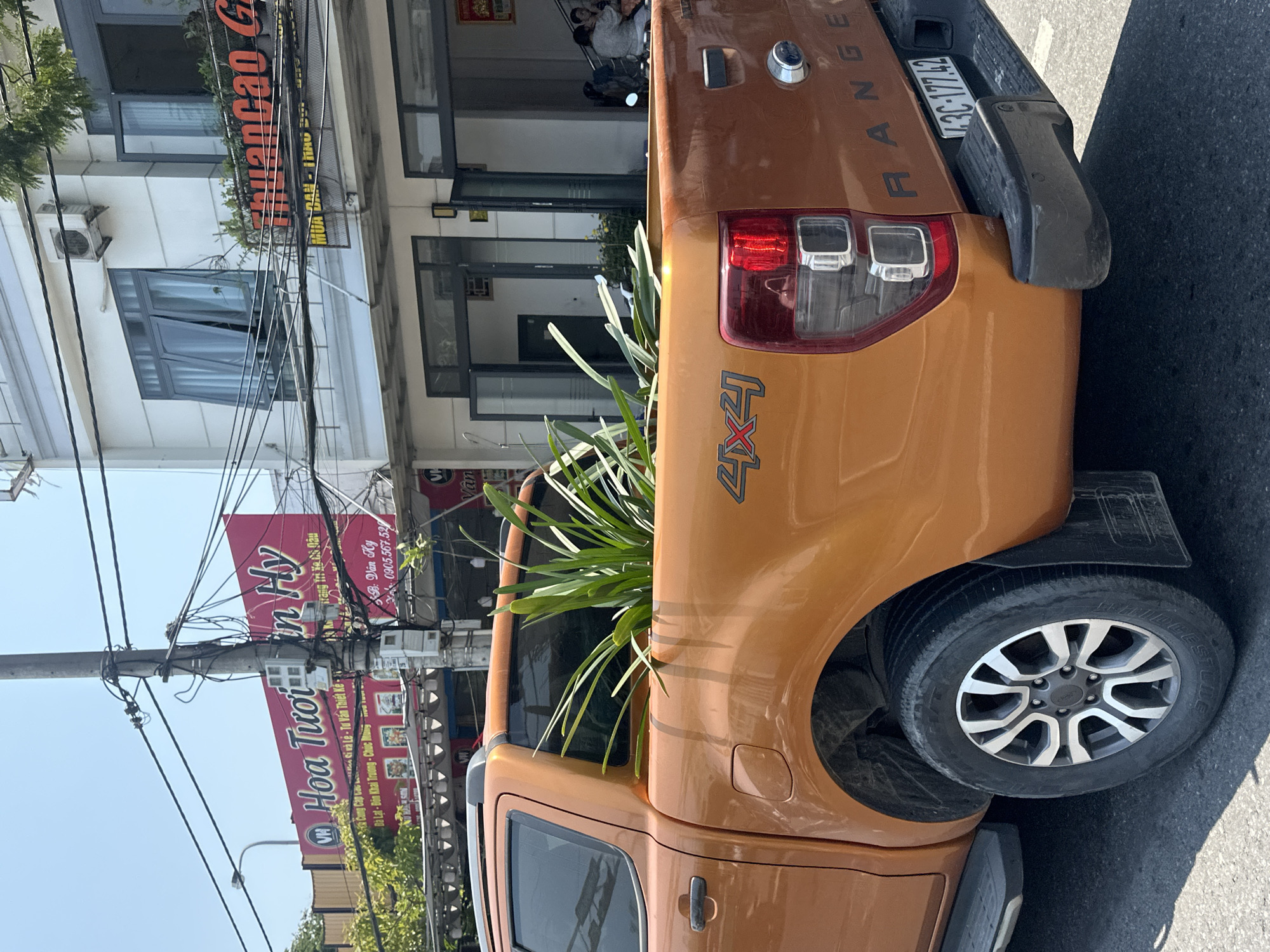 Here is a description of the image:
An eye-level, medium-shot photograph depicts the rear section of a burnt orange Ford Ranger pickup truck, parked on a street in Đà Nẵng, Vietnam. The truck's taillight, "4x4" logo, "RANGE" emblem, and license plate are visible. A clump of leafy green plants sits in the truck bed. In the background, buildings and a street sign that reads "Hoa Tươi in Hy" ("Hy Flower") are visible, as well as tangled electrical wires. The scene is captured under clear, sunny daylight, indicating an outdoor setting on a bright day.