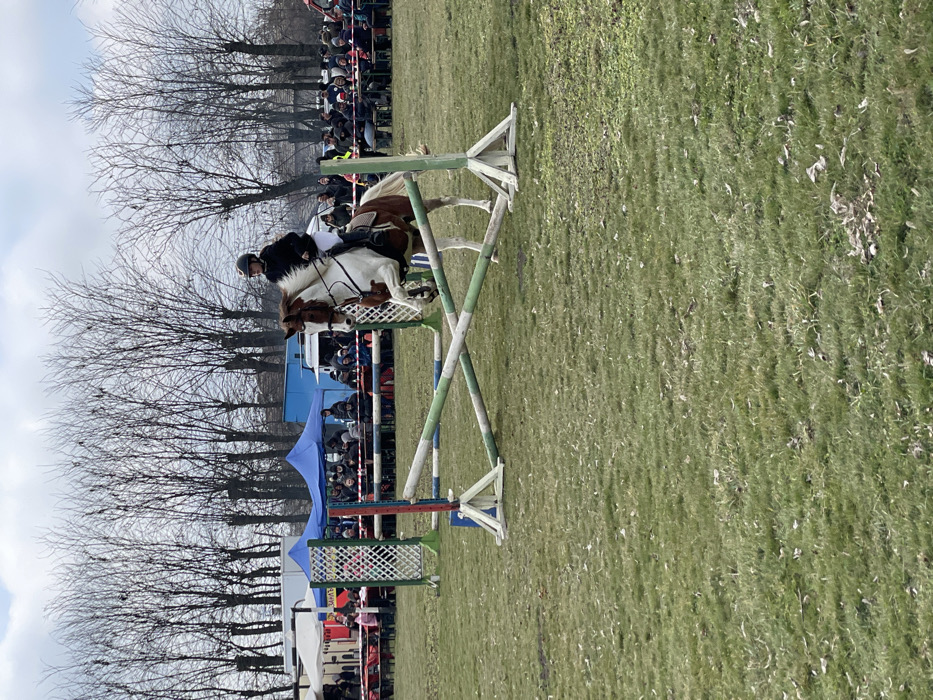 An outdoor equestrian show jumping event is depicted in Kardam, Bulgaria. A pinto horse, predominantly brown and white with a light mane and tail, is captured mid-air over a cross-rail jump composed of two green and white striped poles forming an 'X,' supported by white A-frame standards. The rider, wearing a dark helmet, dark jacket, light breeches, and dark boots, is positioned on the horse's back. The ground is a green grassy field with scattered dry leaves. In the background, a crowd of spectators is visible, some seated on benches, others standing, observing the event. To the left, several white and blue vendor tents or canopies are set up, with individuals gathered nearby. A line of bare deciduous trees stands against an overcast sky, marking the perimeter of the area.