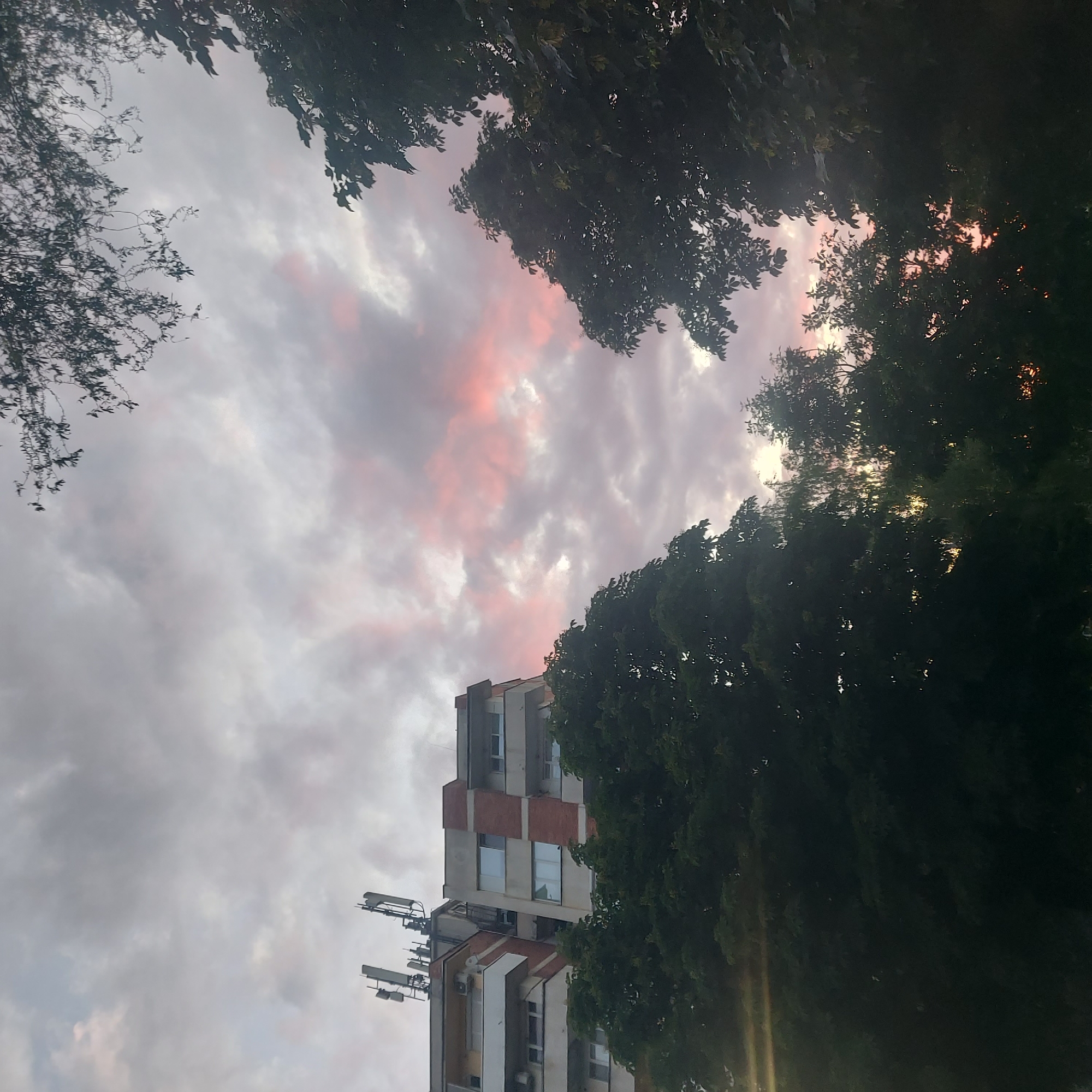 The image, taken from an upward-tilted perspective in Strazhitsa, Bulgaria, depicts a partly cloudy sky at sunset, framed by trees on the left and right. Pink hues are visible within the clouds. A multi-story building with visible antennas on the roof is situated below the clouds.