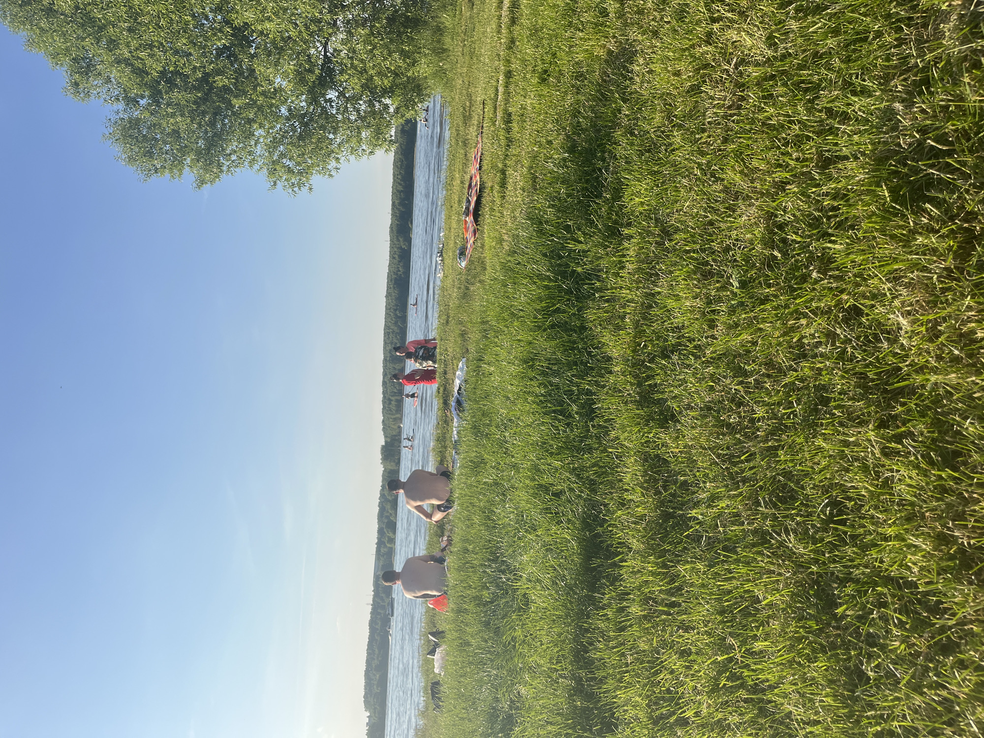 The image portrays an outdoor recreational scene at a body of water in Kapustino, Russia, under a clear blue sky. In the foreground, lush green grass is brightly illuminated by direct sunlight, casting subtle shadows. Two adult males are seated on the grass with their backs to the viewer, observing the water; the man on the left is shirtless with dark shorts, and the man on the right is shirtless with light shorts. Near them, an orange inflatable object and other personal belongings are on the grass. Further right, a patterned blanket is spread on the ground.
The mid-ground features a wide expanse of water, likely a lake or large river, with gentle ripples. Several individuals are present in and around the water. A motorboat is visible further out on the left. Closer to the shore, multiple people are swimming or using small watercraft such as kayaks or paddleboards. On the right side, near the water's edge, a person dressed in red is visible. The distant shore is lined with a dense band of green trees, with faint outlines of structures visible on the horizon. A large, leafy green tree partially frames the right side of the image. The scene is bathed in what appears to be late afternoon sunlight, indicating leisure activities.