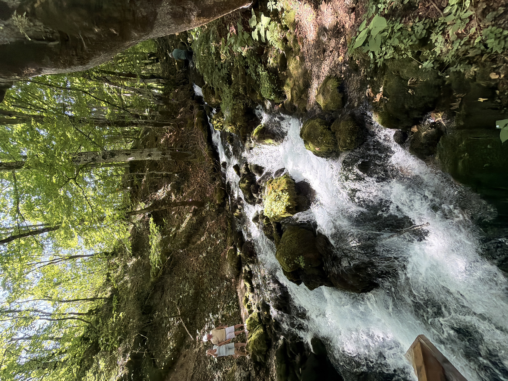 The image depicts a fast-flowing stream in a forested area, likely in the vicinity of Bistrica, Montenegro. Two individuals, a man and a woman, stand on the left bank of the stream, observing the water. The man is wearing a light-colored cap, a light yellow shirt, and white shorts, while the woman is wearing a light blue top and light-colored shorts. Further upstream, a lone figure, likely a man wearing a green shirt and dark shorts, is partially visible near the bank, facing away from the camera.
The stream itself is characterized by numerous moss-covered rocks and turbulent, white water, indicating a steep gradient and significant flow. The surrounding environment is a lush forest with dense foliage, including tall trees and undergrowth. Sunlight filters through the canopy, creating dappled light and shadow patterns on the ground and water. The terrain appears to be a hillside, with the stream cascading down its slope. A wooden element, possibly a railing or part of a bridge, is visible in the lower left corner of the frame. The overall impression is one of a natural, vibrant, and somewhat rugged landscape.