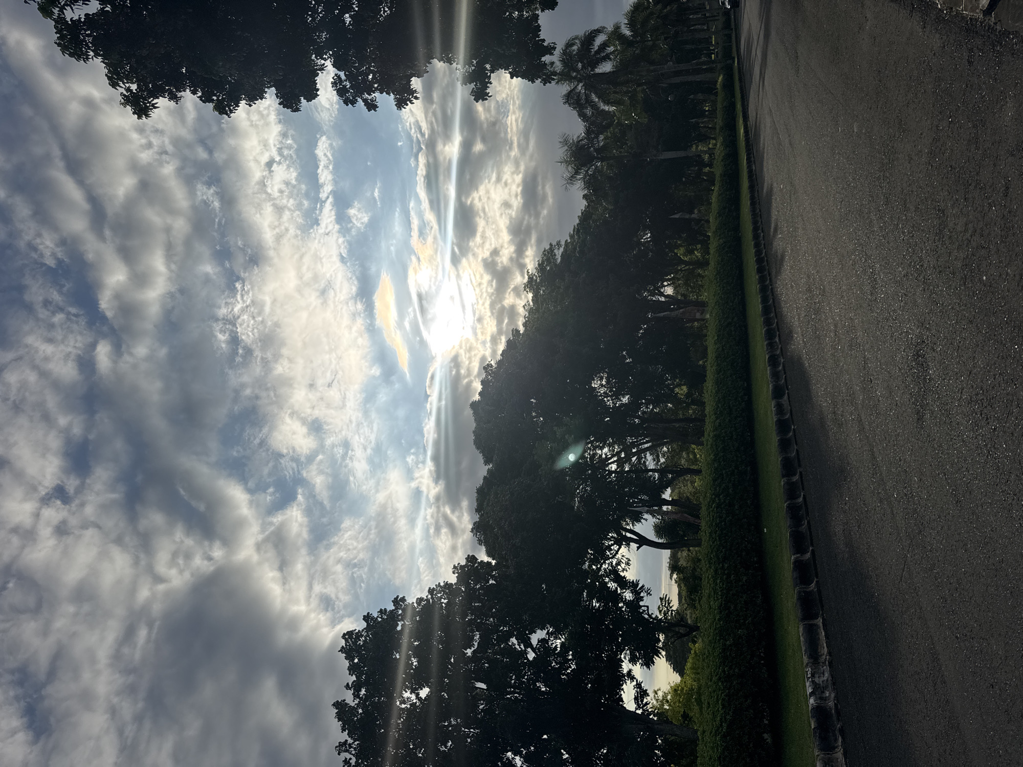 The image shows a view of a road in Kuta Selatan, Indonesia. The sky is visible between silhouetted trees, partially obscured by clouds and bright sunlight. A paved road runs along the right side of the frame, bordered by trimmed hedges. No people are visible.