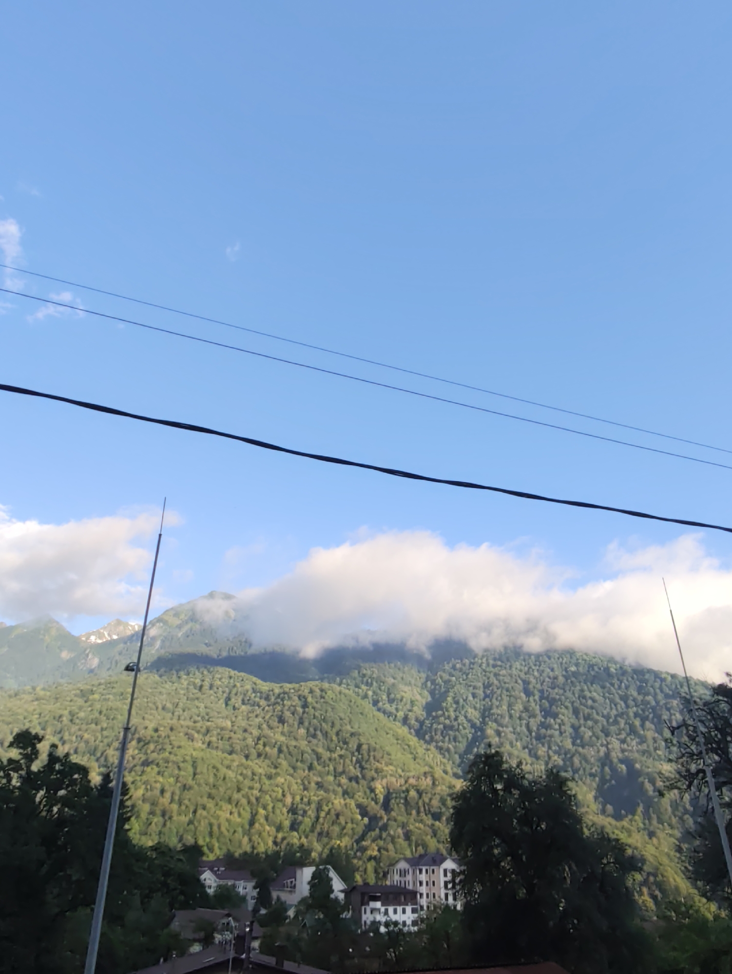 The image depicts a scenic view of mountains in Krasnaya Polyana, Russia. The foreground is dominated by lush green trees and a tall, slender pole, possibly a lamppost or antenna, on the left. Several buildings, appearing to be hotels or apartment complexes, are nestled among the trees at the base of the mountain.
The midground features a massive, tree-covered mountain slope, with patches of clouds clinging to its upper reaches. The foliage is dense and a vibrant green, suggesting a time of year with healthy vegetation. Some snow-capped peaks are visible further in the distance, hinting at higher altitudes.
The background is a clear, bright blue sky, with a few wispy white clouds scattered across it. Two dark power lines stretch horizontally across the upper portion of the image, dividing the sky. The lighting suggests it is daytime, likely morning or afternoon, with the sun casting a gentle glow on the landscape. The overall mood is peaceful and serene, showcasing the natural beauty of the mountainous region. No people are visible, and there is no discernable text in the image.