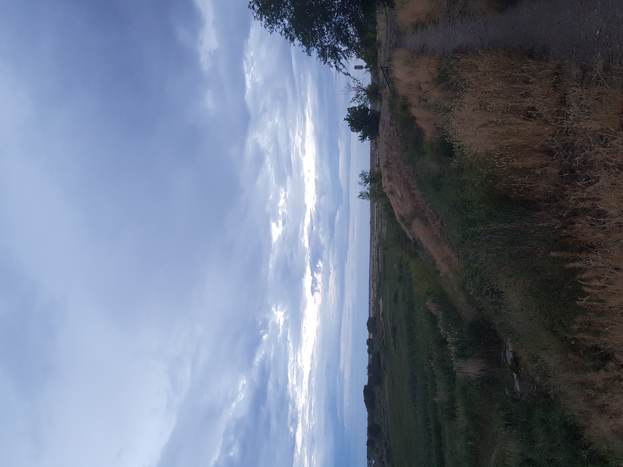 The image shows a landscape with a cloudy sky, vegetation, and a dirt path. In the foreground, dry grass and bushes line a dirt path that curves to the right. In the middle ground, there is a field of green grass with scattered bushes and trees. In the background, a distant treeline is visible, and beyond that, a body of water or the horizon. The sky is filled with heavy, dark gray clouds, with some lighter patches indicating breaks in the cloud cover. There are no people or animals visible in the image. The scene appears to be a rural or natural area, possibly on the outskirts of a city. While the general setting is described, the specific location within the city of Kurchatov, Kazakhstan, cannot be determined from the visual information provided.