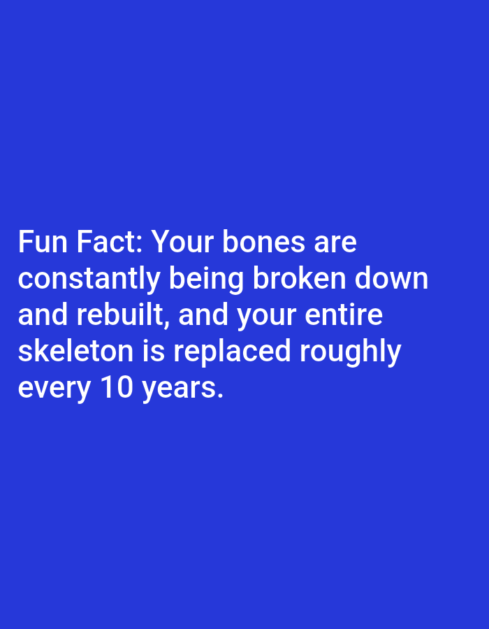 The image is a photograph of white text on a solid blue background. The text reads: "Fun Fact: Your bones are constantly being broken down and rebuilt, and your entire skeleton is replaced roughly every 10 years." There is no discernible location, people, subjects, objects, actions, interactions, or environment present in the image other than the text and its background. Therefore, it is not possible to include details about the city of Lagos, Nigeria.