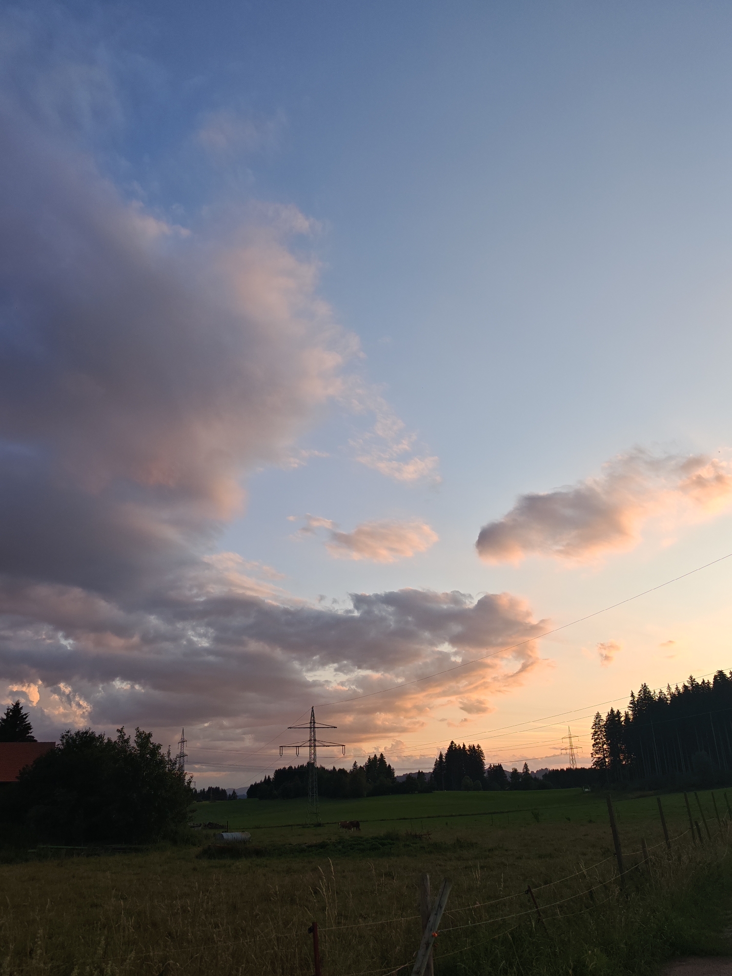 The image captures a rural landscape at dusk, likely in Nesselwang, Germany. A vast sky dominates the upper portion, transitioning from a deep blue at the top to a soft orange and pink hue near the horizon, indicating sunset. Clouds are scattered across the sky, with some appearing dark and heavy, while others are tinged with the warm colors of the setting sun.
Below the sky, a treeline of dark evergreen trees stretches across the middle ground. In front of the trees, a green field or pasture is visible, with some fence posts and wires demarcating the foreground. A tall, green pylon with power lines stretches upwards into the sky, a man-made structure contrasting with the natural elements. To the left, a red-roofed building peeks out from behind a dark green tree line. In the distance, hills are faintly visible against the horizon. There are no people visible in the image, but a single brown animal, possibly a cow or horse, is present in the field. The overall scene suggests a tranquil, natural setting at the end of the day.