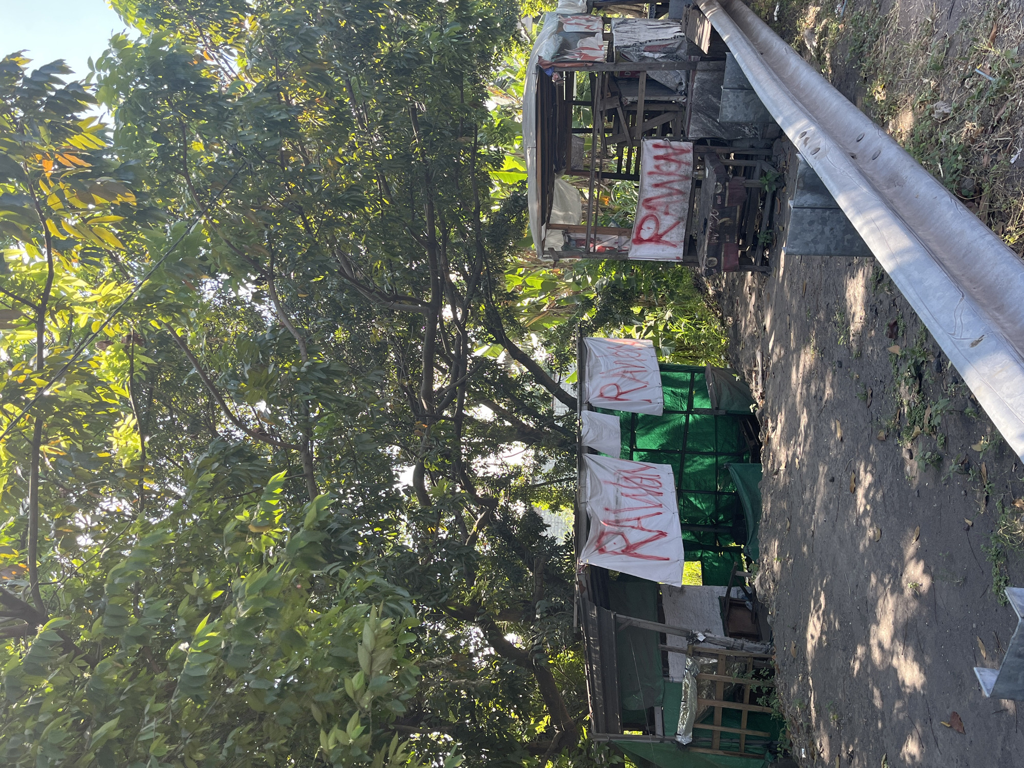 The image depicts an outdoor scene with two makeshift structures set up along a road, possibly a roadside stall or shelter. The structures appear to be constructed from scrap materials like wood, metal, and tarpaulin, with one of them covered by a green tarp on the left and the other by a grey tarp on the right. White banners with red lettering are hung on both structures. The banner on the left appears to read "RAWAN" (meaning "danger" in Indonesian). The banner on the right also seems to display "RAWAN".
The area around the structures is unpaved, with dirt and scattered leaves on the ground. A metal guardrail runs along the edge of the road in the foreground, separating it from the area where the stalls are located. Lush green foliage from large trees overhangs the scene, creating dappled shade on the ground. In the background, beyond the structures, there are more trees and vegetation, suggesting a semi-rural or vegetated roadside environment. The sky is visible through the leaves, indicating it is daytime, likely sunny given the bright lighting and shadows.
The image does not contain any people or visible interactions. The overall impression is one of a simple, possibly temporary, setup in a vegetated roadside area. The presence of the "RAWAN" banners suggests a warning or concern about something in the immediate vicinity. Without further context, the specific location in Pamotan, Indonesia, cannot be definitively confirmed from the visual information alone, but the presence of Indonesian language on the banners makes this location plausible.