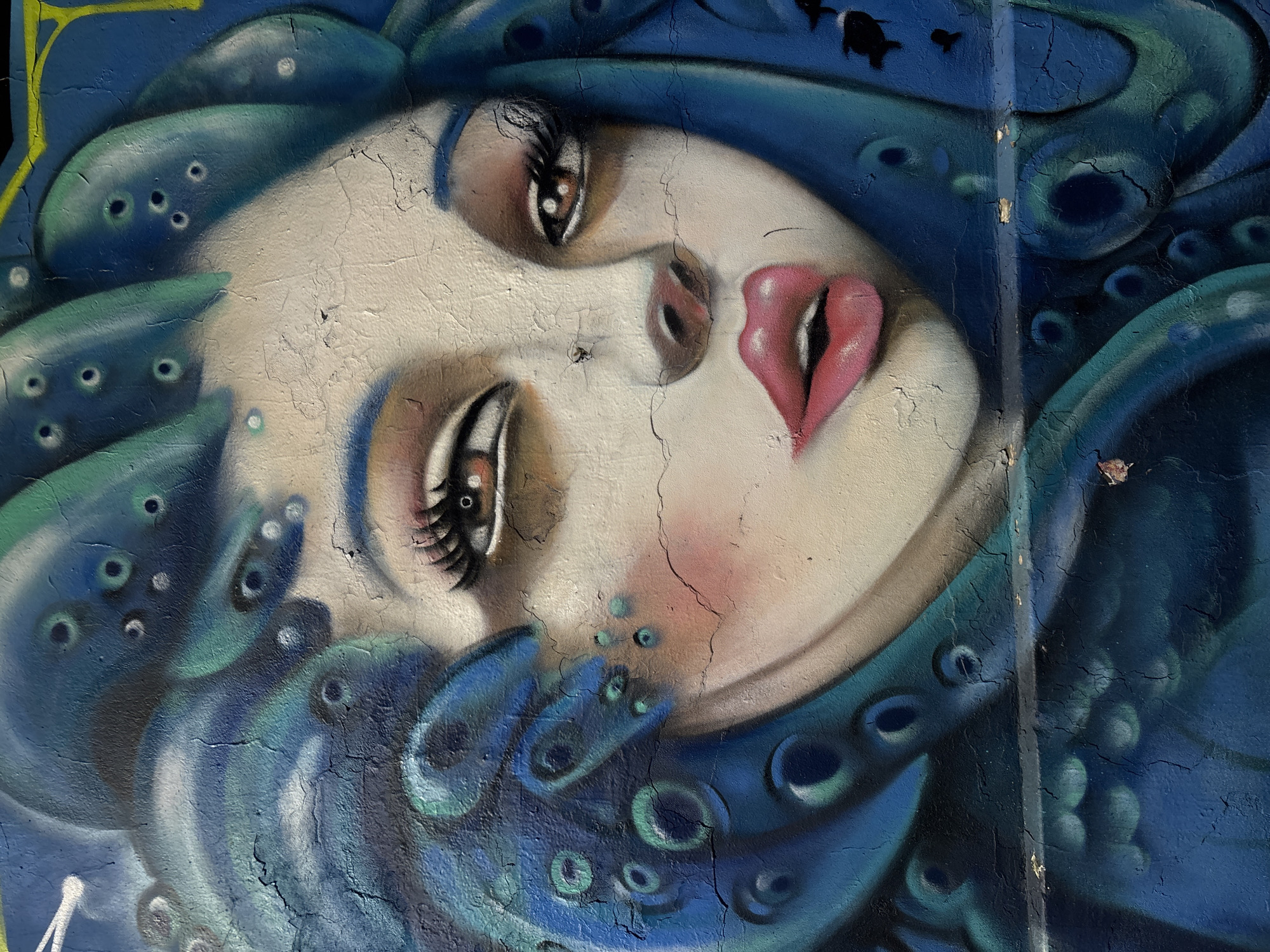 Graffiti art covers a weathered wall. The mural depicts a woman's face tilted sideways, with blue hair or head covering adorned with dotted patterns. The skin is light, with pink blush on the cheek. Eyes are large with prominent eyelashes. Lips are pink and appear heart-shaped. Cracks traverse the painting's surface, showing age and wear. Dark blue coloring surrounds the face and head. Two small black fish are at the top of the image. The city is Buenos Aires, Argentina.