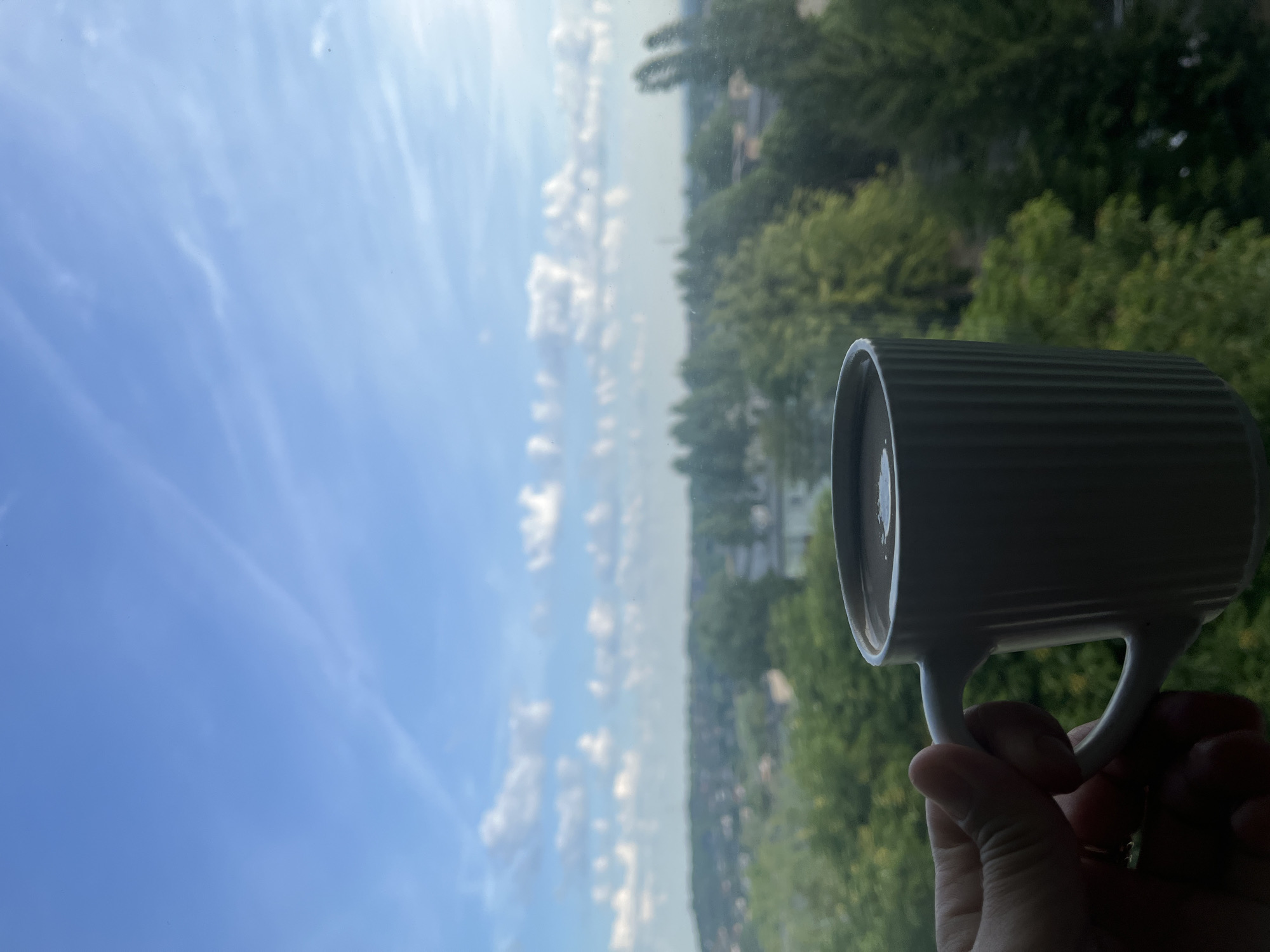 A hand is holding a white mug filled with a dark liquid, possibly coffee, in the foreground, positioned against a blurred backdrop of a cityscape and a sky filled with clouds. The mug has vertical ridges on its exterior. The background shows a dense collection of green trees and buildings, suggesting an urban or suburban setting. The sky is a vibrant blue with wispy white clouds and contrails from an aircraft. The lighting indicates it is daytime, likely late morning or afternoon.