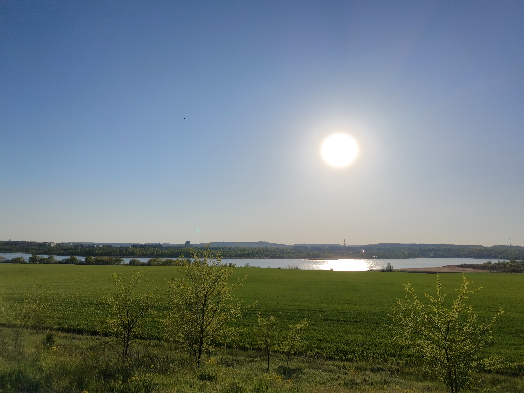 The image shows a rural landscape in Kryvyi Rih, Ukraine, under a bright, clear sky with the sun high in the sky. The foreground features a field of green grass with young trees. In the middle ground, a body of water reflects the sunlight. The background shows a cityscape with buildings and industrial structures along the shoreline. The scene appears peaceful and open.