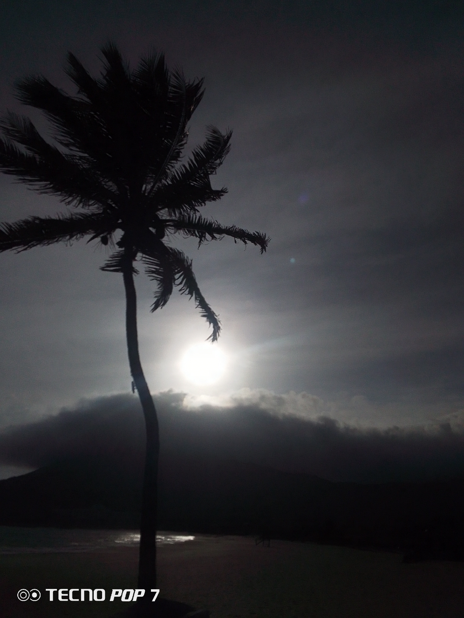 The image depicts a dark, silhouetted scene of a tropical landscape. A tall, slender palm tree is prominent on the left side of the frame, its fronds blowing in the wind. Behind the tree, a bright orb, possibly the sun or moon, is partially obscured by a thick layer of clouds. These clouds also cover a large, dark hill or mountain that stretches across the middle of the image. In the foreground, there is a hint of a beach and water, reflecting some of the light from the orb. The scene is likely located near Pedro González, Venezuela, given the tropical environment. The timestamp "TECNO POP 7" is visible in the lower left corner. The overall mood of the image is dark and serene.
