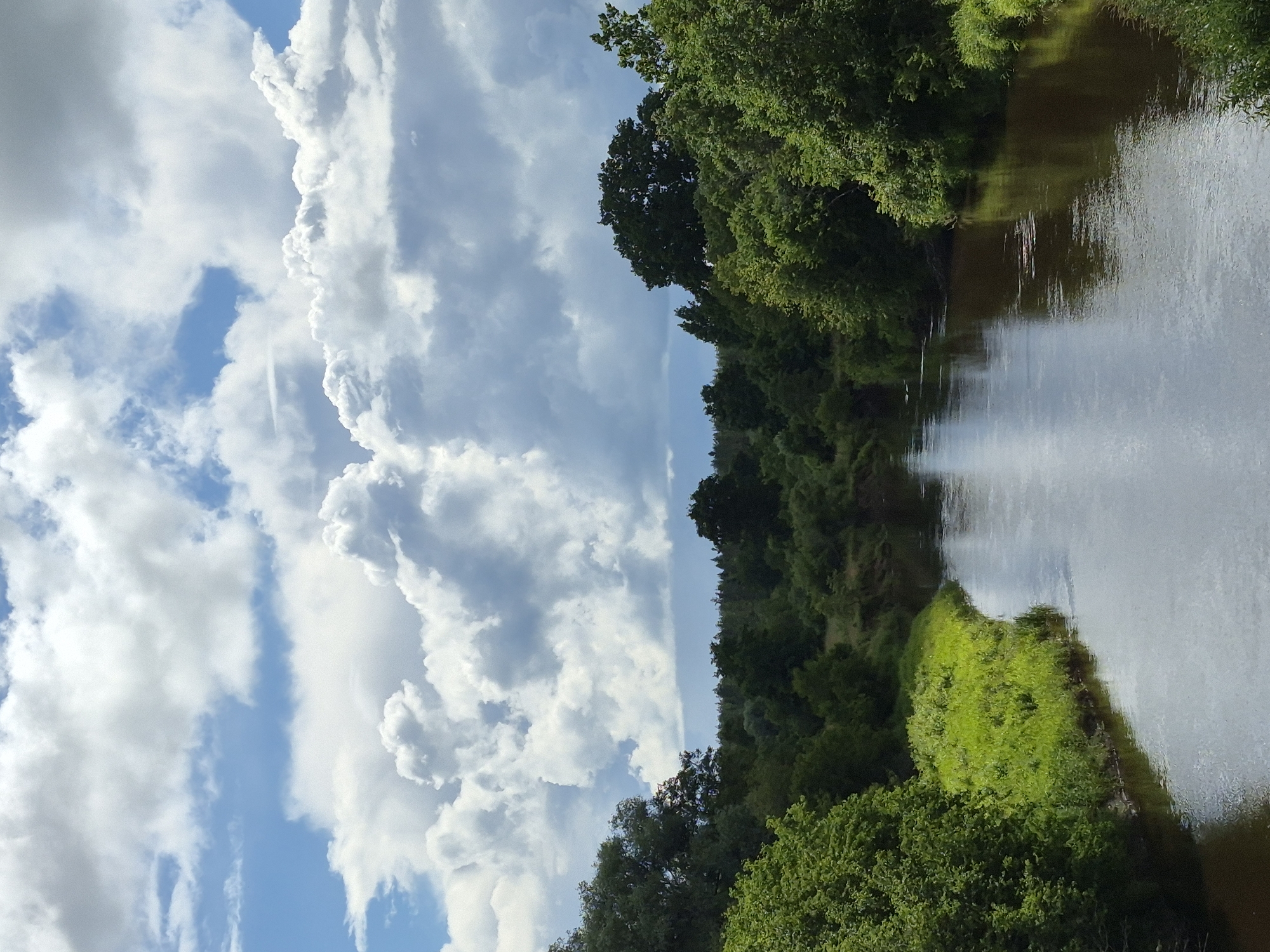 The image depicts a wide river flowing through a lush, green landscape under a partly cloudy sky. The river, with its dark, reflective water, winds its way through dense foliage. On the left bank, vibrant green grass and bushes line the river, leading to a more distant, darker line of trees. The right bank is also densely wooded, with a variety of trees in shades of green. In the background, a rolling landscape of trees stretches towards the horizon, where a band of lighter sky can be seen. The sky above is filled with dramatic, fluffy white clouds against a bright blue backdrop, suggesting fair weather with some cloud cover. The scene is serene and natural, evoking a sense of peacefulness. The location is identified as the city of Tsirgumäe, Estonia. There are no people or animals visible in the image, and no specific actions or interactions are depicted. The image is a static, observational snapshot of a natural environment.