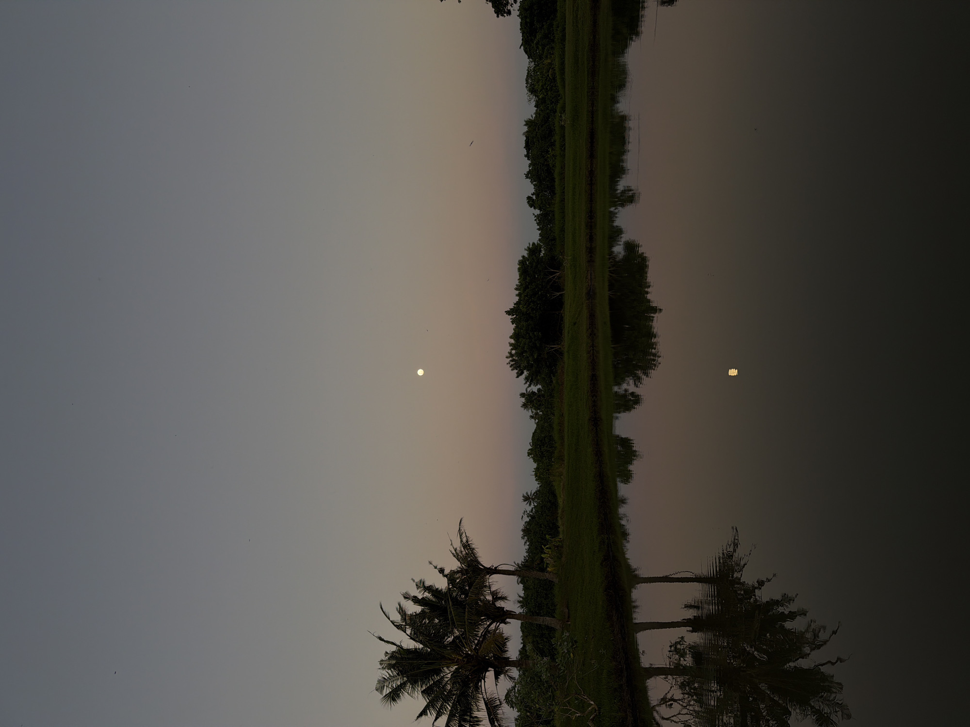 The image shows a landscape at dusk or dawn, possibly in Kediri, Indonesia, given the presence of palm trees. The sky is a gradient of grey and pale orange. A bright, round object, likely the moon or a distant light, is visible in the sky and reflected in a dark body of water that occupies a significant portion of the image. A line of vegetation, including trees and shrubs, runs along what appears to be a bank or shoreline, dividing the sky and water. The trees are reflected in the water, creating a mirrored effect. Two palm trees stand prominently in the foreground. There are a few dark specks, which may be birds, in the sky. The overall scene suggests a tranquil, natural environment. The image is presented sideways, so the right side of the image should be considered the 'top' and the left should be the 'bottom'.