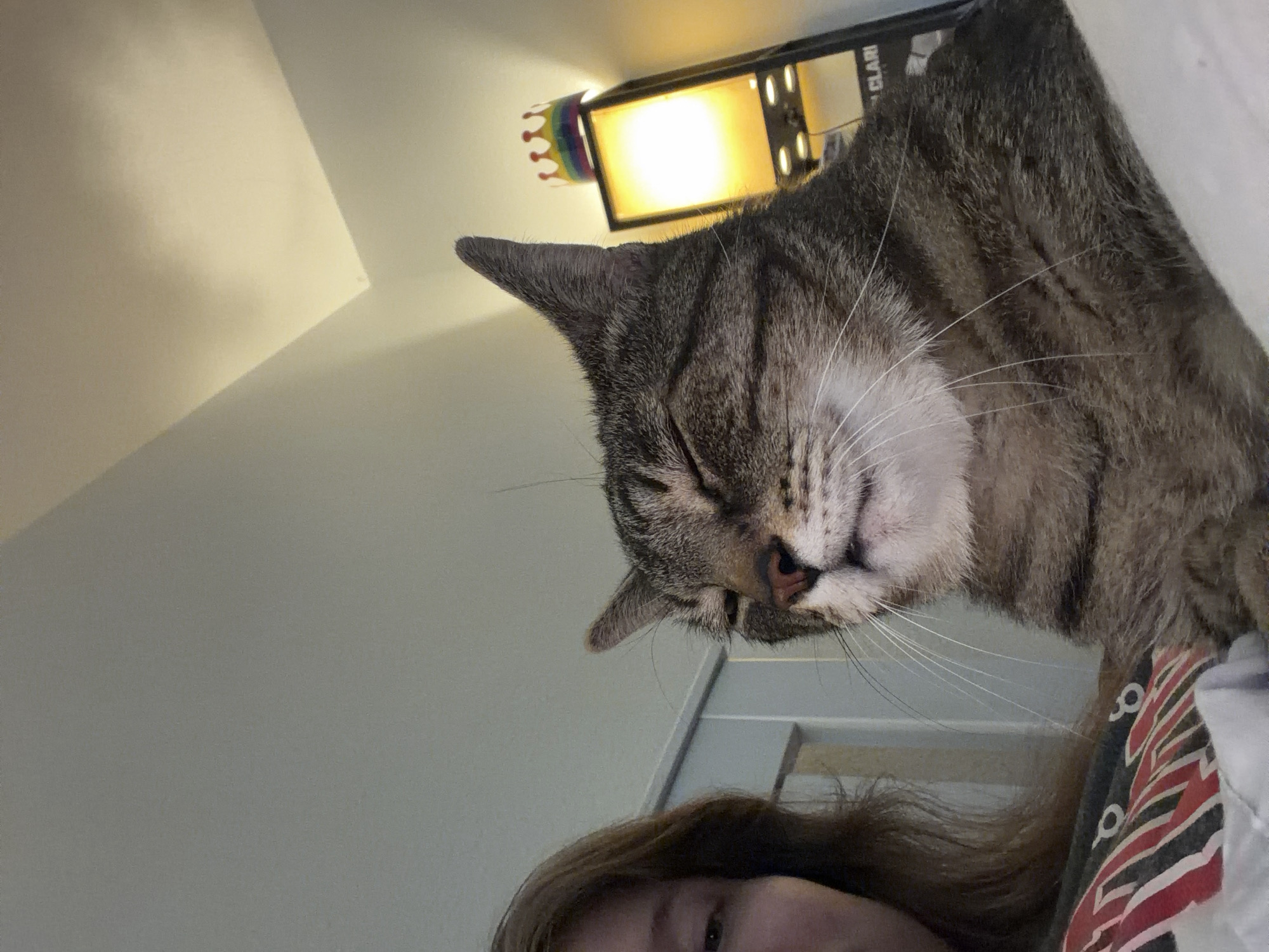 A close-up, low-angle shot features a tabby cat with its eyes mostly closed, giving it a relaxed or sleepy appearance. The cat is positioned in the foreground, taking up a significant portion of the frame. To the left of the cat, a person's face is partially visible, with their brown hair falling over their shoulder. They are wearing a shirt with a striped pattern. In the background, a lamp is visible with a small, colorful crown-like decoration on top. The overall environment appears to be indoors, likely a bedroom, with a pale-colored wall and ceiling. The lighting suggests it is either daytime with ambient light or artificial light from the lamp. There are no visible indications of the city of Portland, United States of America.