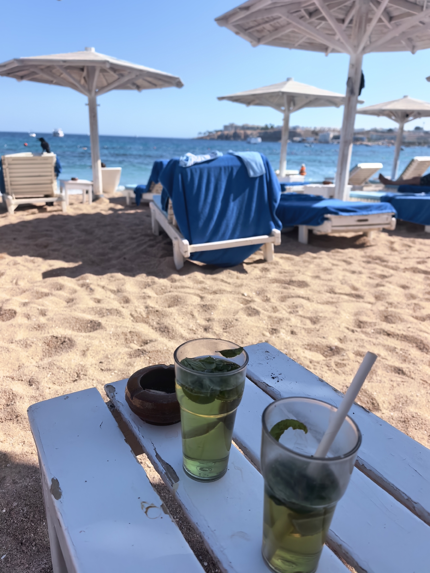 An outdoor, eye-level, full shot shows two glasses of mint-infused drinks on a white wooden table at a beach. The table is in the foreground, with sand stretching behind it. Behind the table, several lounge chairs are set up, some covered in blue fabric, with white umbrellas providing shade. The ocean is visible in the background, with a city skyline and mountains in the distance. A black bird is perched on a lounge chair to the left of the frame. The sky is clear and blue.