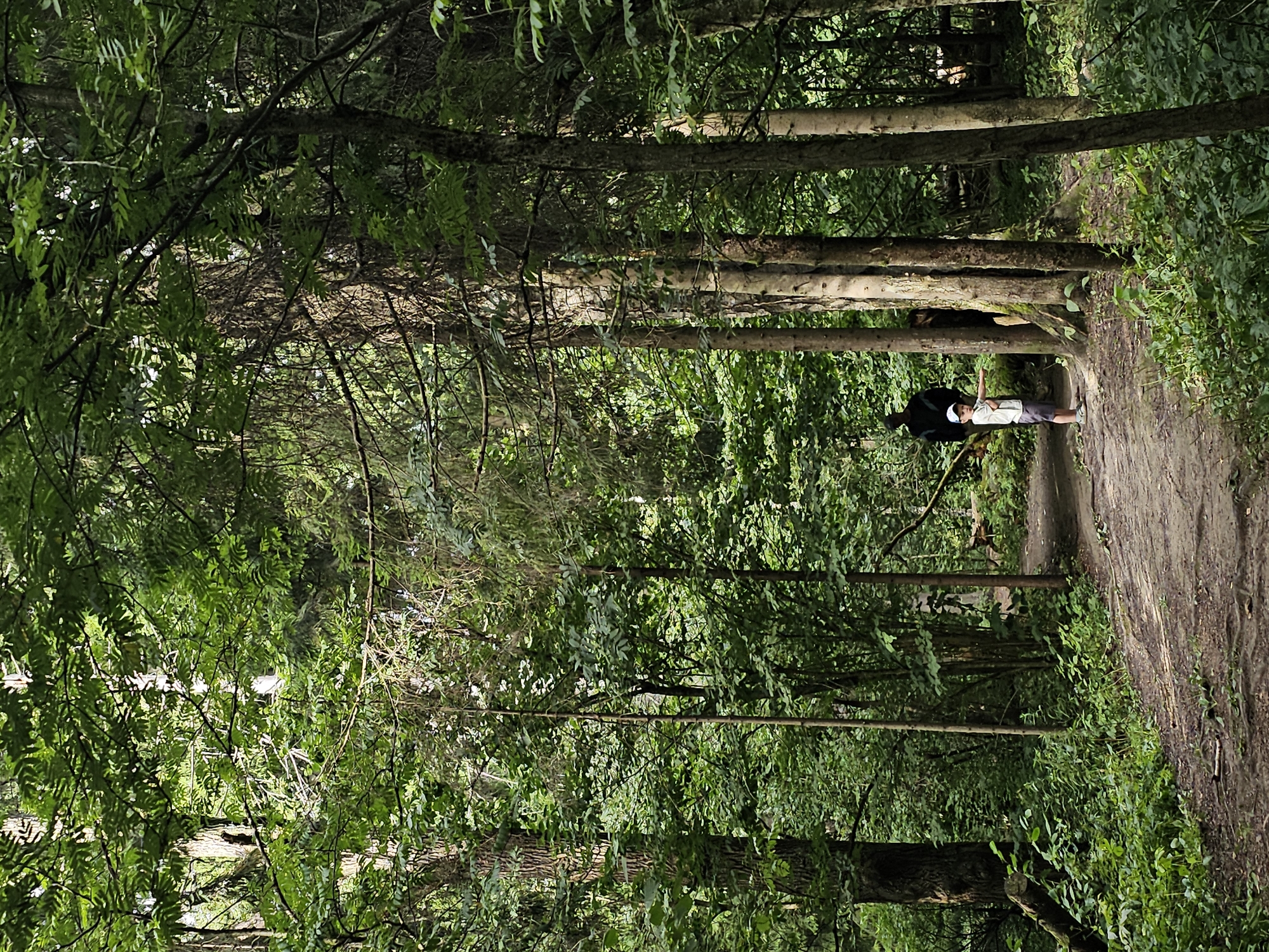 A dirt path winds through a dense forest with tall trees and lush green foliage. Sunlight filters through the canopy, casting dappled shadows on the ground. A young boy wearing a white t-shirt, grey shorts, and a white cap stands on the path, pointing to something off-camera. Behind him, a dark silhouette of an adult is visible, partially obscured by trees. The scene suggests a peaceful moment in nature, possibly a family outing in a park or forest area within Odintsovo, Russia.