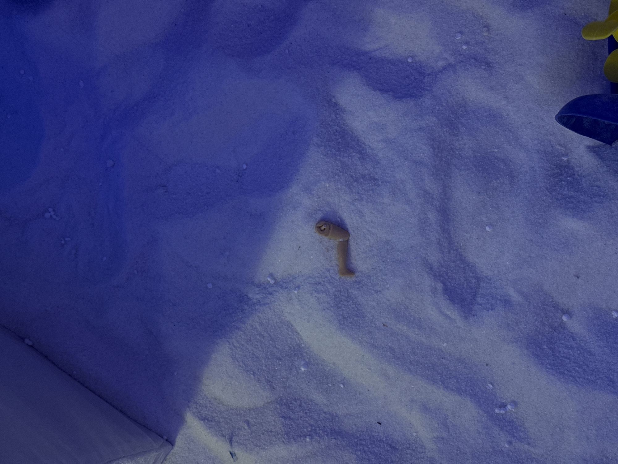 The image displays a close-up view of a sandy surface, heavily saturated with a dominant deep blue hue. This strong blue coloration suggests either a blue light source, a filter, or possibly colored sand. The sand itself appears fine-grained with subtle ripples and shadows, indicating a textured surface.
At the approximate center of the frame, a small, light beige-colored object lies on the sand. It appears to be a detached limb, specifically a leg and foot, from a doll or similar toy. The object casts a faint shadow on the sandy surface beneath it.
In the upper right corner of the image, parts of what seem to be children's toys are visible. These include a bright yellow, irregularly shaped piece and a curved, dark blue plastic component, possibly an edge of a toy shovel or bucket.
No activity is taking place; the objects appear to be static on the sand. The lighting conditions, as altered by the blue tint, make it difficult to determine the time of day or natural weather. No text is visible in the image. The scene conveys a sense of stillness, likely in a sandbox or a play area, located in Chaikovsky, Russia.