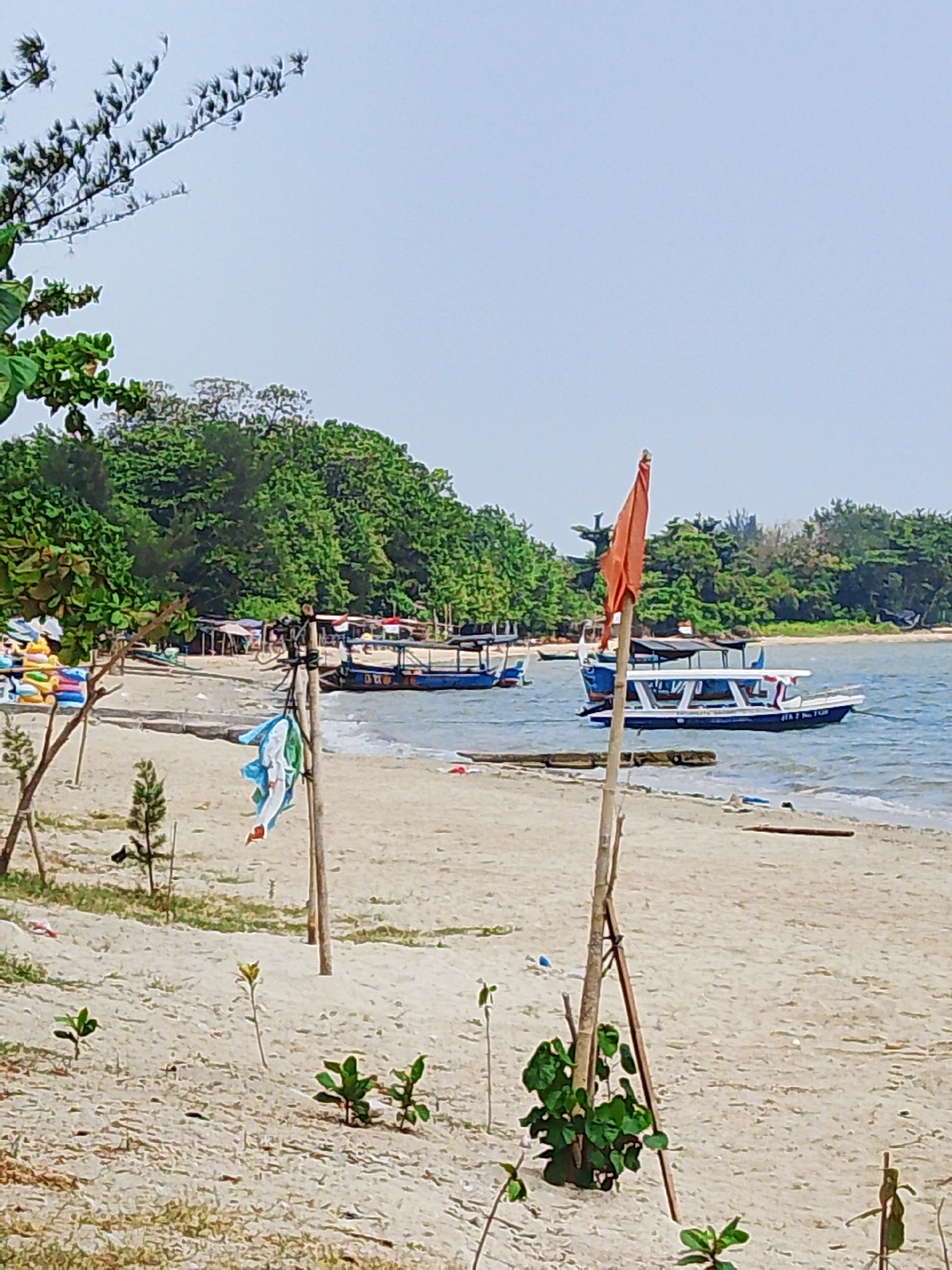 The image depicts a sandy beach with calm water and a backdrop of lush green trees. In the foreground, a sandy beach stretches towards the water, with a few small plants scattered across the sand. Two wooden poles are planted in the sand, one with a small orange flag and some pieces of fabric hanging from it.
In the middle ground, several boats are moored in the shallow water. The most prominent boat is a white and blue vessel with a covered seating area, and what appears to be a small Indonesian flag at its stern. Other boats, some with canopies, are visible further down the shoreline. The beach itself has a somewhat undeveloped appearance, with what might be small structures or shacks visible behind the moored boats. The water is a light blue, reflecting the overcast sky.
In the background, a dense line of green trees forms a natural barrier along the coastline. The sky is a pale, hazy blue, suggesting it might be a cloudy or overcast day. The scene is peaceful and appears to be a relatively quiet coastal area. The location is identified as Tegalsambi, Indonesia.