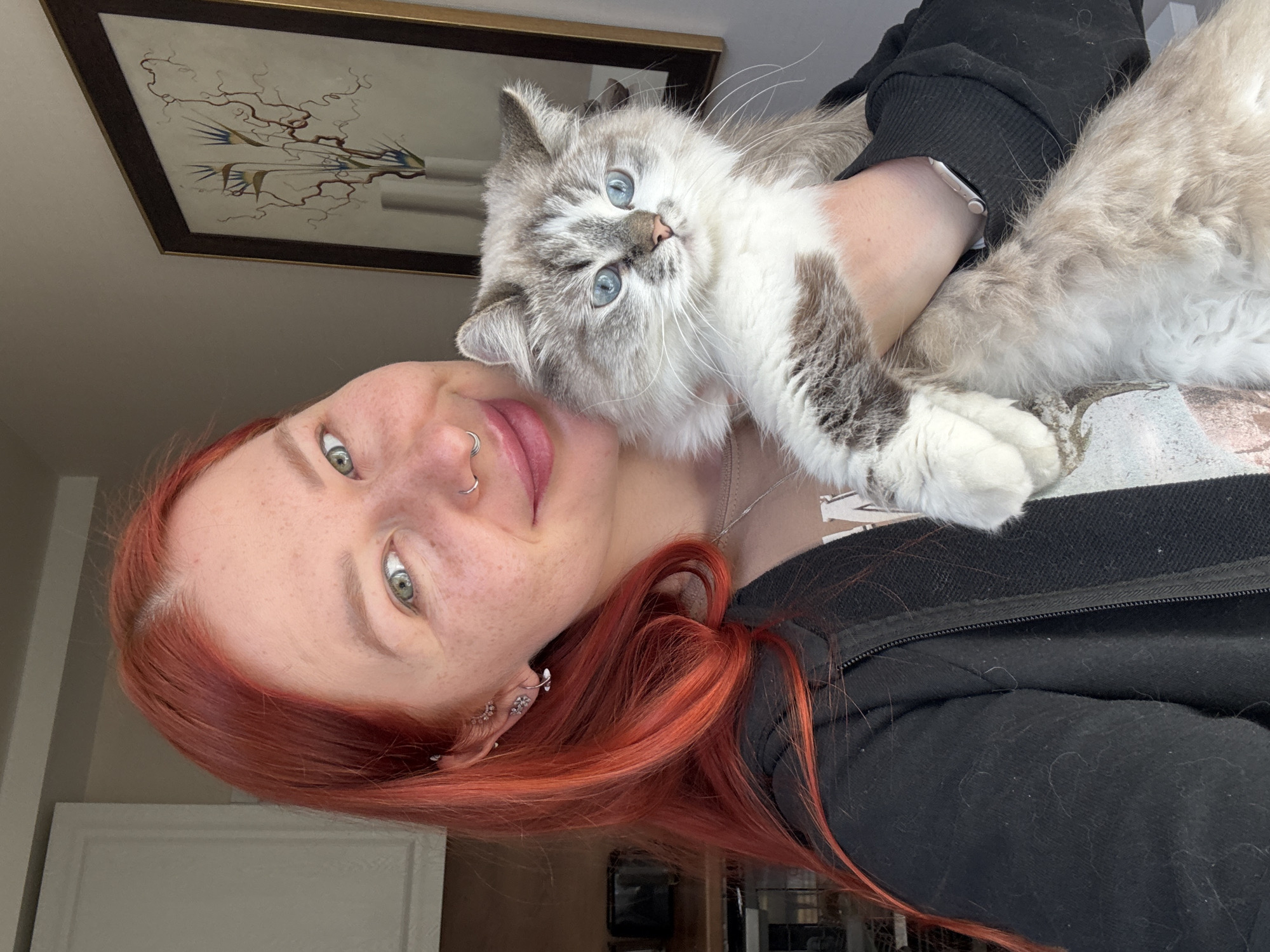 This is an indoor, head-and-shoulders portrait featuring a woman and a cat, presented in a sideways orientation. The woman has long, vibrant red hair, fair skin with noticeable freckles, and light-colored eyes (appearing green or hazel). She has multiple ear piercings and a nose ring, and a faint, gentle smile. She is wearing a black zippered hoodie or jacket, which shows some light-colored fur, presumably from the cat, indicating shedding. Her left arm is visible, with a smartwatch on her wrist featuring a light-colored band.
The cat is a long-haired breed, possibly a Ragdoll or similar, with striking bright blue eyes and soft, fluffy fur in shades of light grey, white, and some darker grey markings. The cat is cradled by the woman, resting its head on her shoulder and looking directly towards the viewer with a curious or content expression. Its light fur contrasts with the woman's dark clothing.
In the background, a light-colored wall is visible, along with a framed picture hanging on it. The artwork within the frame depicts stylized, abstract elements, possibly resembling birds or branches in muted blues, yellows, and browns. The lighting suggests it is daytime, with soft ambient light illuminating the scene. The overall mood of the image conveys affection and calmness between the woman and her feline companion. No decipherable text is visible in the image. The location context provided is Rostov-on-Don, Russia.