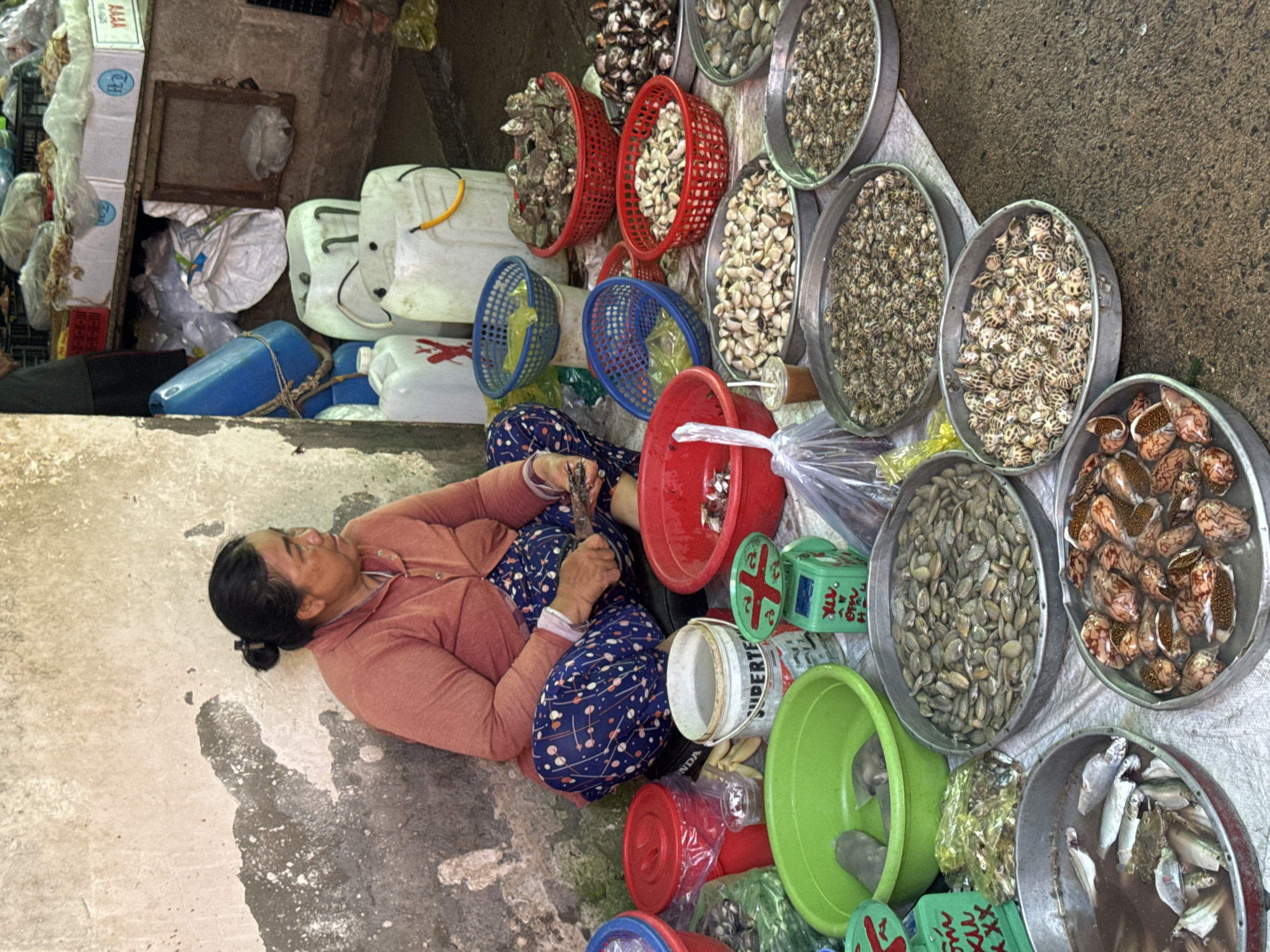 The image depicts a street market scene in Mũi Né, Vietnam, with a woman sitting on the ground surrounded by various seafood. The woman, appearing to be in her late 40s or 50s, is wearing a pink long-sleeved shirt and blue patterned pants. She has her hair tied up in a bun and is actively engaged in sorting or preparing seafood with a pair of small scissors.
In front of her are several containers filled with different types of shellfish and small fish. There are large green and red plastic bowls, metal pans, and red baskets holding an assortment of clams, snails, and other small marine creatures. A green manual scale is also visible, suggesting the seafood is being weighed for sale. Behind the woman, several large plastic containers and bags are stacked, hinting at storage or transport of goods. The ground is a mix of concrete and dirt, characteristic of an outdoor market. The background includes a rough, textured wall and shelving units with more goods, including what appear to be packaged items and more seafood. The overall impression is of a busy, informal marketplace where fresh seafood is being sold directly by vendors.