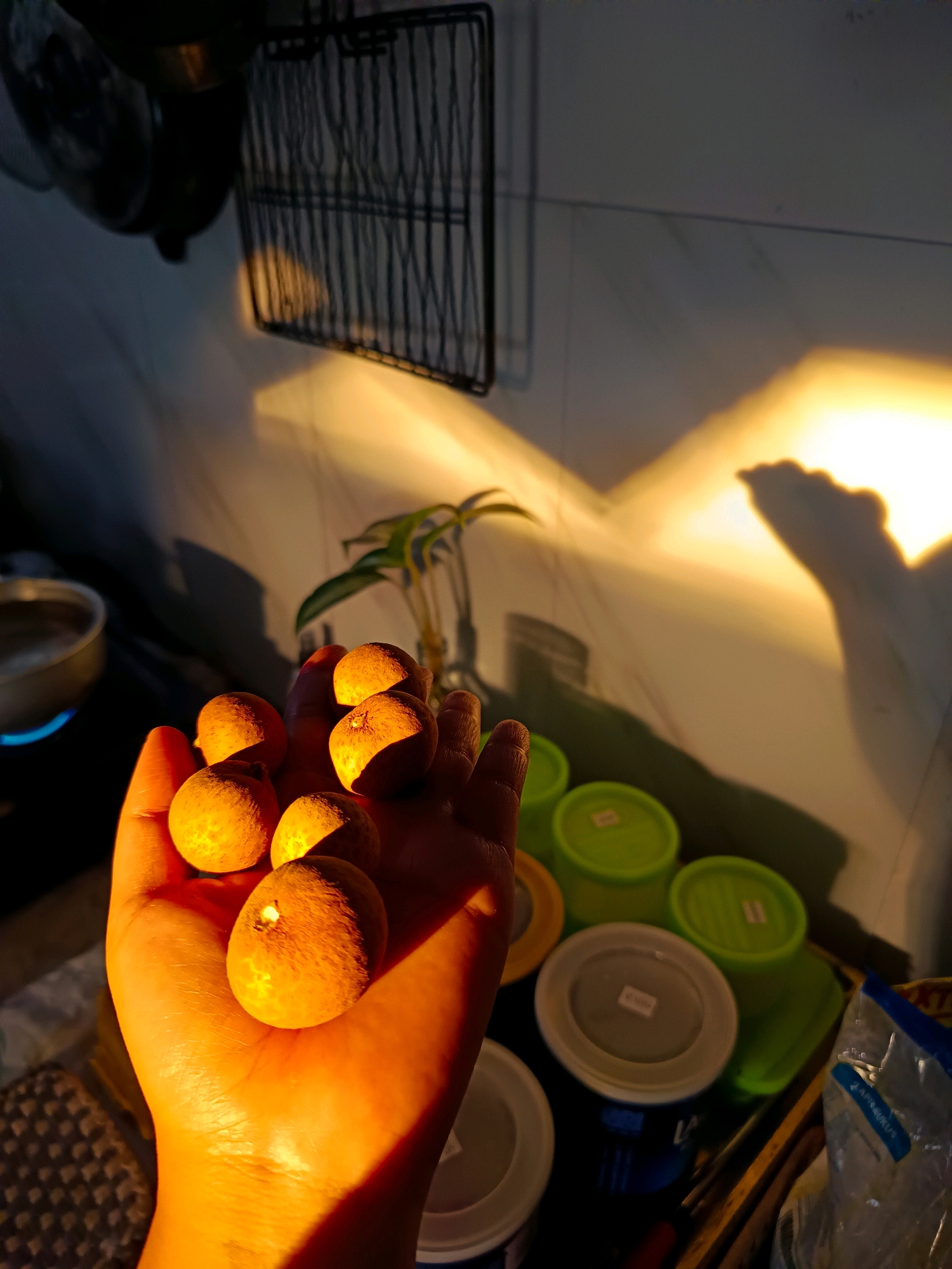 In the city of Tlogosari, Indonesia, a hand holds several small, round, orange fruits, possibly longans or loquats, illuminated by warm, low-angled sunlight that casts long shadows on a tiled wall. The background reveals a kitchen setting with a wire rack, a plant in a glass vase, a pot on a stove with a blue flame, and several plastic containers with lids. The overall scene is one of domesticity and natural light, creating a vibrant and intimate atmosphere.