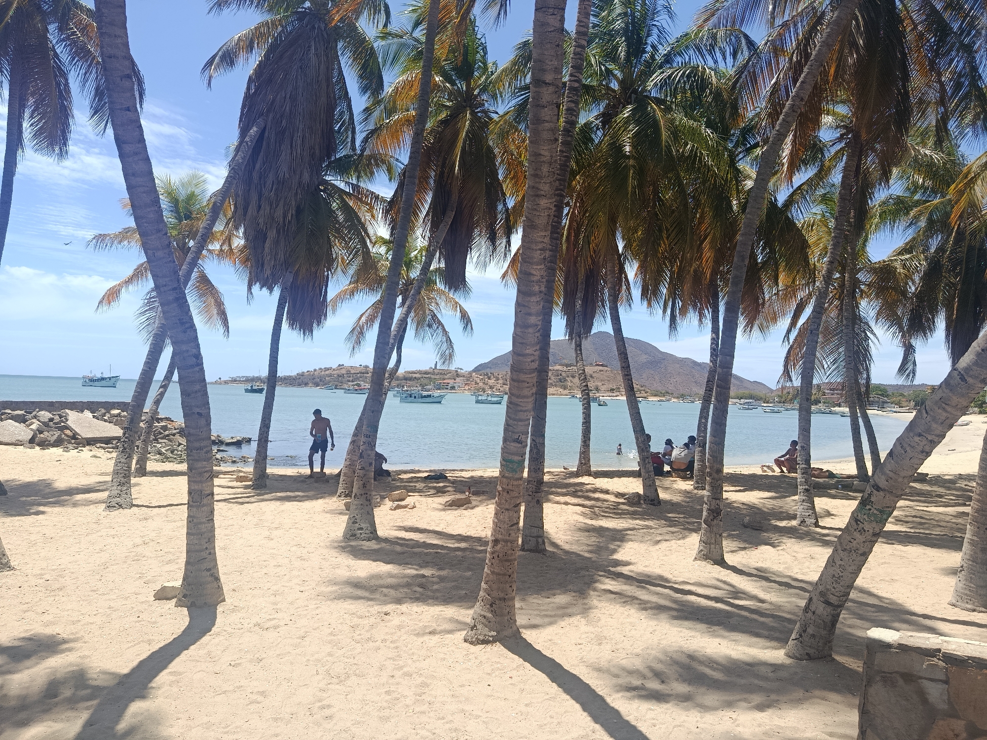 This is a daytime image of a beach, identified as located in Juan Griego, Venezuela, where the scene is dominated by palm trees casting shadows on the light-colored sand. The foreground features the trunks of several palm trees, obscuring the view slightly.
In the middle ground, people are spread out across the beach. To the left, a man stands near a rocky breakwater. Further to the right, a group of individuals is clustered together, some seated. Further along the beach, to the right of the image, sits another person sitting on the shore.
The background shows a calm body of water with several boats anchored or moving across the bay. Across the water, a land mass rises to form a mountain or large hill. The sky is blue with scattered clouds.