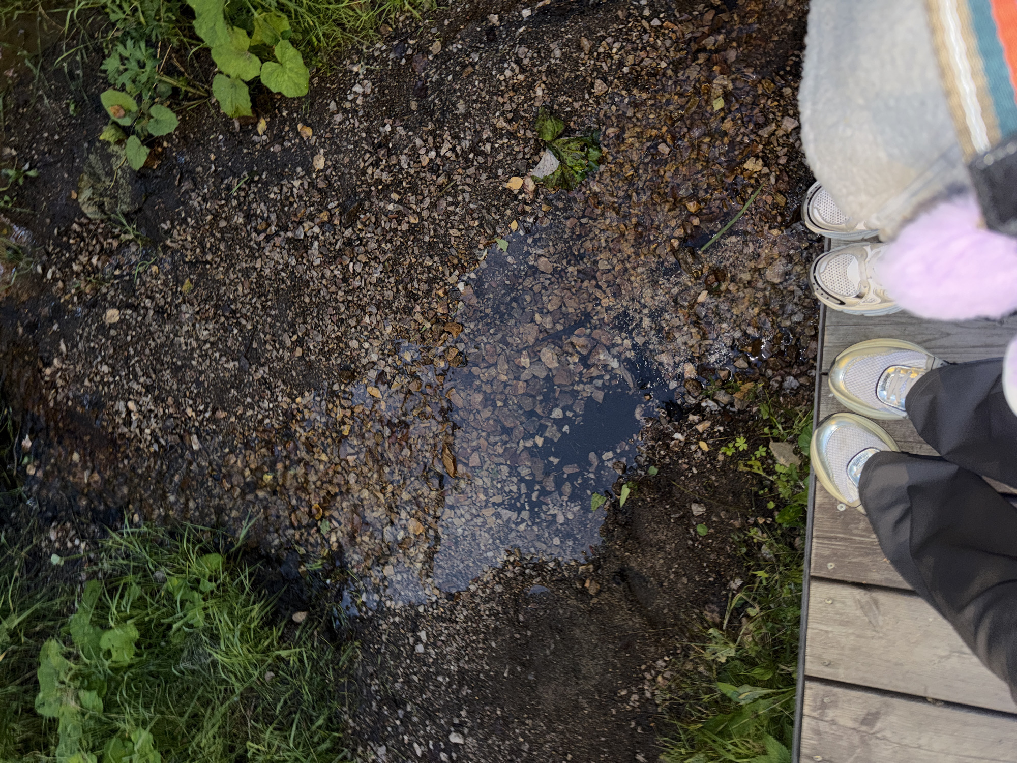 The image shows a close-up, overhead view of a shallow stream with a muddy bank, covered in small pebbles and some green vegetation. There is a patch of water reflecting the sky and surrounding rocks. In the foreground, a wooden walkway is visible, and the lower legs and feet of at least three individuals are standing on it. One person is wearing dark pants and grey sneakers. Another person is wearing light-colored pants and white sneakers. A third person is wearing a light pink fuzzy garment and is partially visible. The overall scene appears to be an outdoor natural setting, possibly a park or trail. No specific landmarks of Krasnoyarsk, Russia are identifiable in the image.