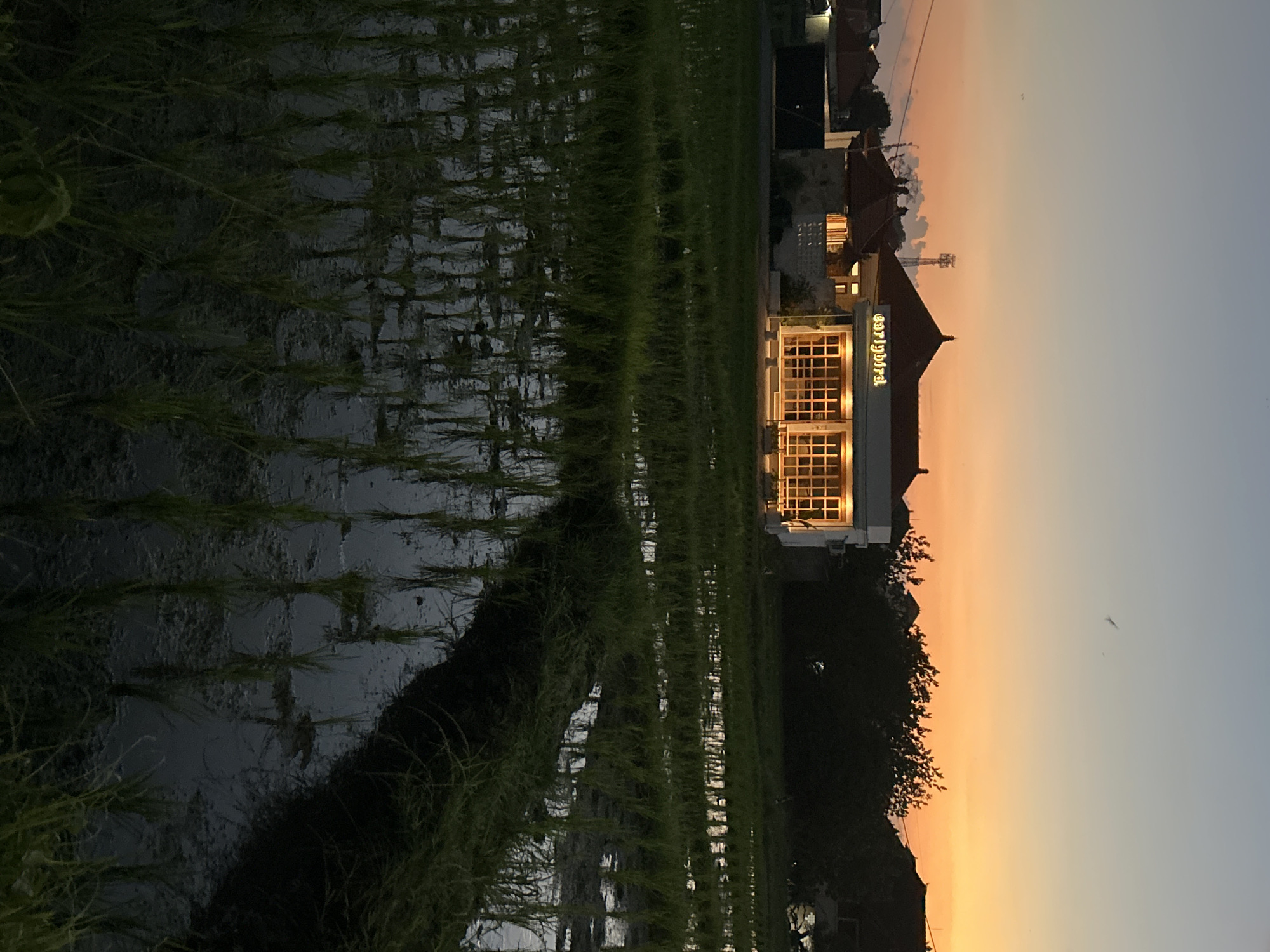 The image depicts a rural scene at dusk, likely in Southeast Asia. In the foreground, a flooded rice paddy stretches across the frame, with rows of young rice shoots emerging from the murky water. The water reflects the fading light of the sky. In the mid-ground, a modern building with large, illuminated windows stands on stilts. The building has a sign that reads "earlybird." Behind the building, a cluster of trees and other structures are visible, their forms silhouetted against the colorful sky. The sky itself transitions from a pale blue at the top to a vibrant orange and yellow near the horizon, indicating either sunrise or sunset. A communication tower is visible in the distance. The overall impression is one of tranquility and natural beauty, juxtaposed with a touch of modern architecture.