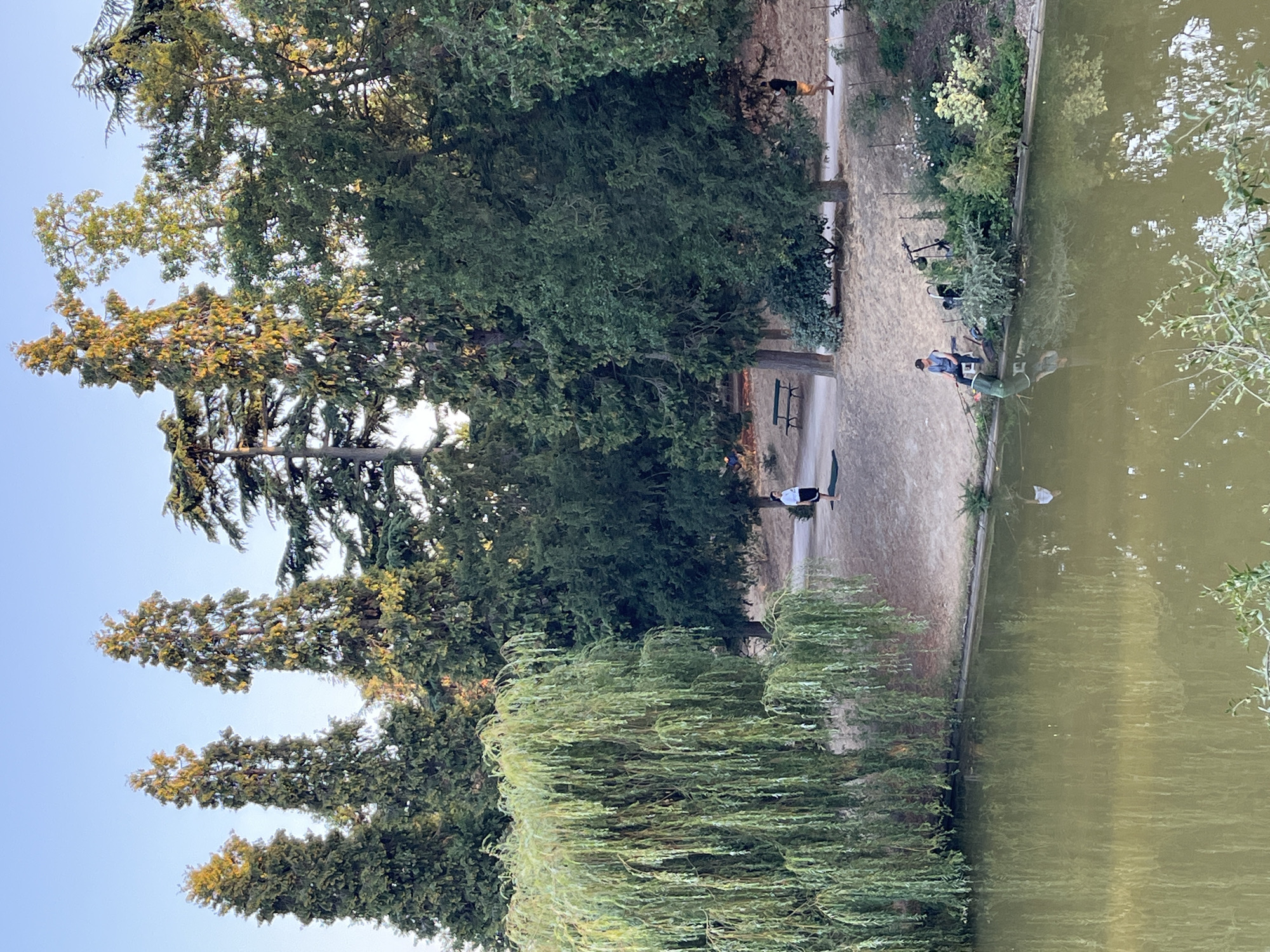 The image depicts a serene park scene by a tranquil body of water, possibly a pond or a lake, in Paris, France. In the foreground, the water reflects the surrounding trees and the sky. Along the edge of the water, a person is seated on a chair, engaged in fishing with a fishing rod. Behind them, a collection of bushes and plants line the bank, adding to the natural beauty of the environment.
Further back, a paved pathway winds through the park, shaded by a variety of trees. Tall, slender cypress-like trees stand prominently on the right, their branches reaching towards the clear blue sky. To the left, a large weeping willow tree dominates the scene with its cascading branches. On the pathway, a person is performing yoga on a mat, while another person walks along the path. A park bench is visible in the distance, suggesting a place for relaxation and contemplation. The overall atmosphere is one of peace and natural tranquility.