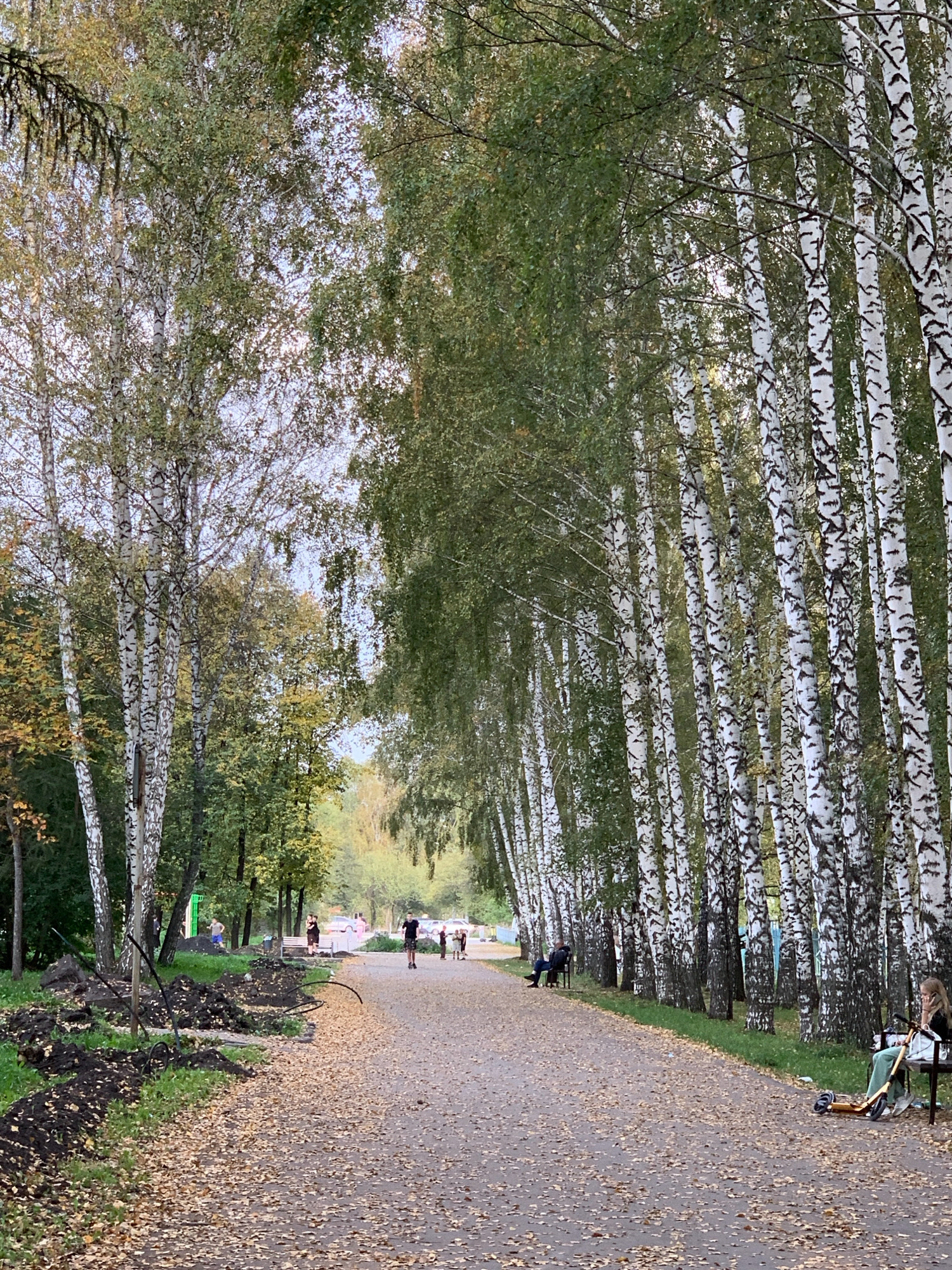 This image depicts an autumnal scene in a park, likely in Prokopyevsk, Russia, with a pathway lined by birch trees. Fallen leaves cover the ground and the pathway. Several people are visible in the distance. On the left side of the pathway, a patch of dug-up earth with some dark hoses or cables is present, suggesting ongoing or recent landscaping work. Further down the path, individuals are walking and some are seated on benches. On the right side, a young woman is sitting on a bench with a scooter nearby. The overall atmosphere is serene and indicative of a public park during the fall season.
