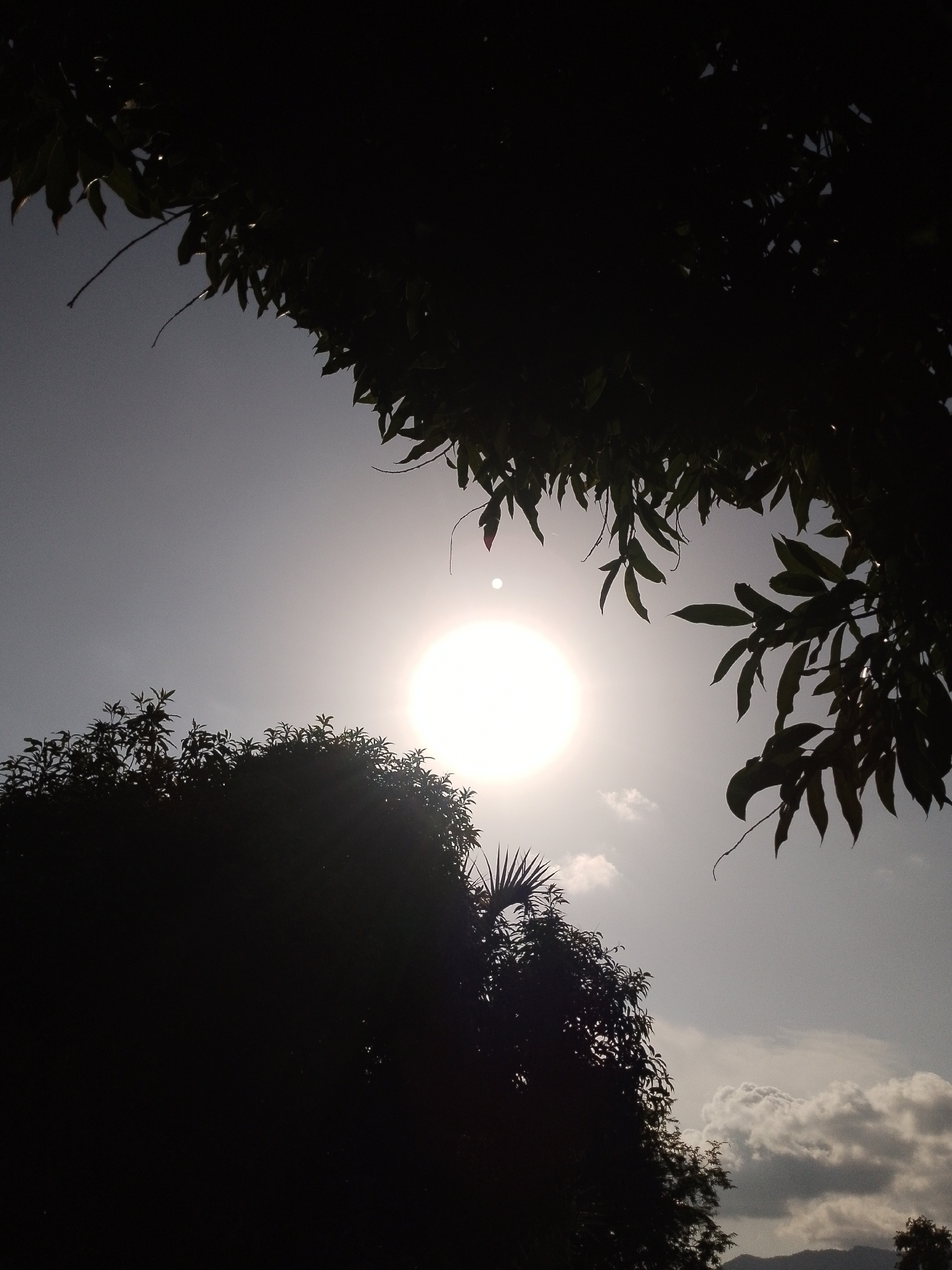 The image shows a silhouetted view of trees against a bright, hazy sky with the sun prominently visible. The sun appears as a large, luminous disc in the center of the frame, with a smaller, fainter dot above it. Dark foliage from trees frames the sky from the top and left sides of the image, casting deep shadows. In the lower portion of the image, the silhouettes of more trees and some indistinct vegetation are visible, suggesting an outdoor environment. The lighting suggests it is either sunrise or sunset. The location is described as Serti, Nigeria, implying a natural or semi-rural setting within or near the city. There are no people or specific actions depicted in the image.