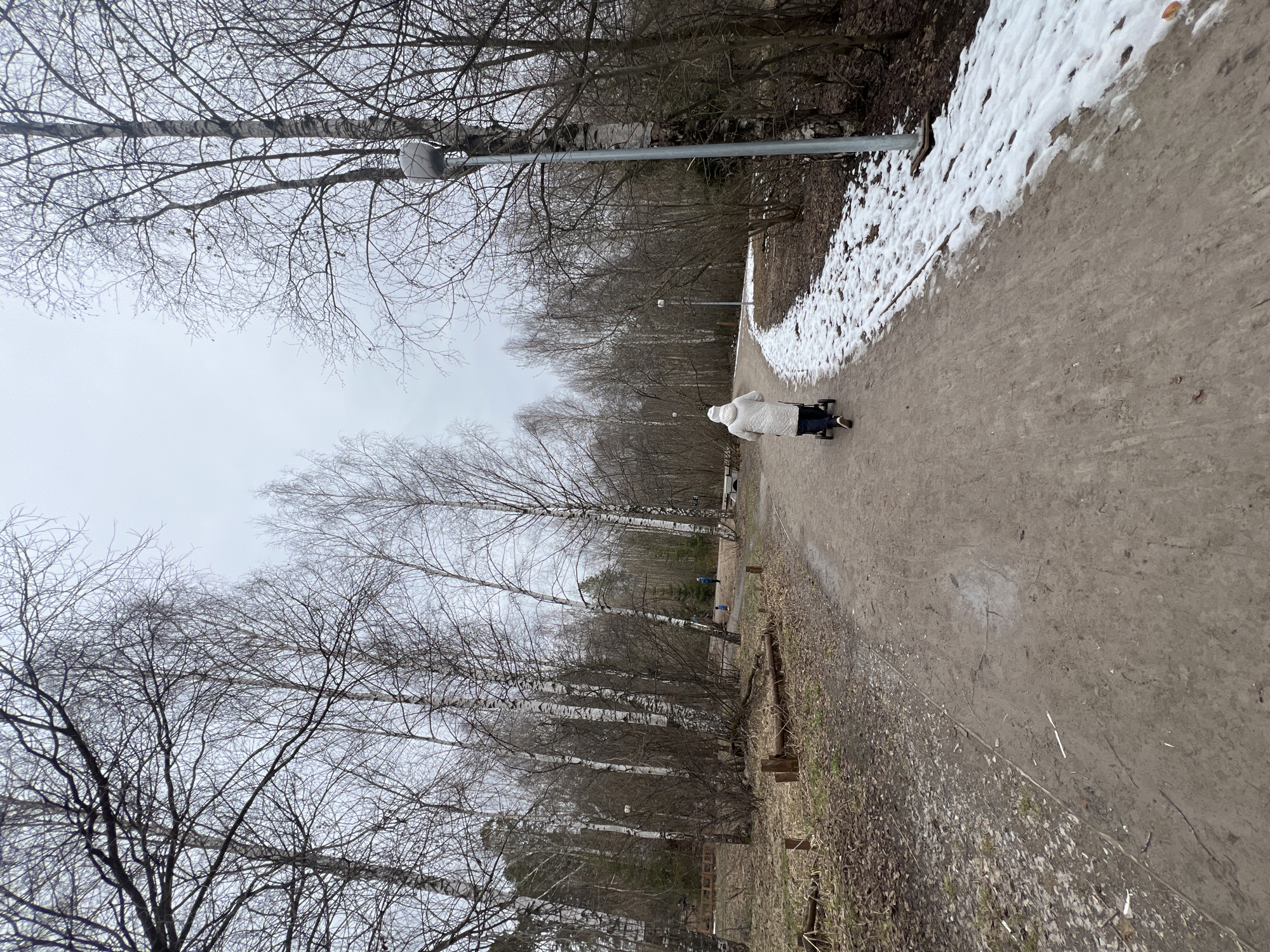 This image depicts an outdoor scene, likely in a park or wooded area in Perm, Russia, during late winter or early spring. The sky is uniformly overcast, casting a soft, muted light over the landscape.
The primary subject is a person, seen from behind, wearing a light-colored, possibly white, winter coat. This individual is walking along a dirt or gravel path, pushing a dark-colored baby stroller or pram. The path appears somewhat damp and worn, with sections of dried leaves and sparse ground cover bordering it. To the right side of the path, there are distinct patches of melting snow, suggesting lingering cold temperatures or recent snowfall.
The scene is dominated by numerous bare trees, their intricate, leafless branches reaching towards the sky. Many of these appear to be birch trees, recognizable by their characteristic light-colored bark, which stands out against the muted tones of the environment. A street lamp is partially visible near the top left, and another can be faintly seen further down the path, indicating a public, maintained area. The overall setting conveys a sense of quietude and the stark beauty of a northern climate transitioning between seasons. There is no visible text within the media file.
