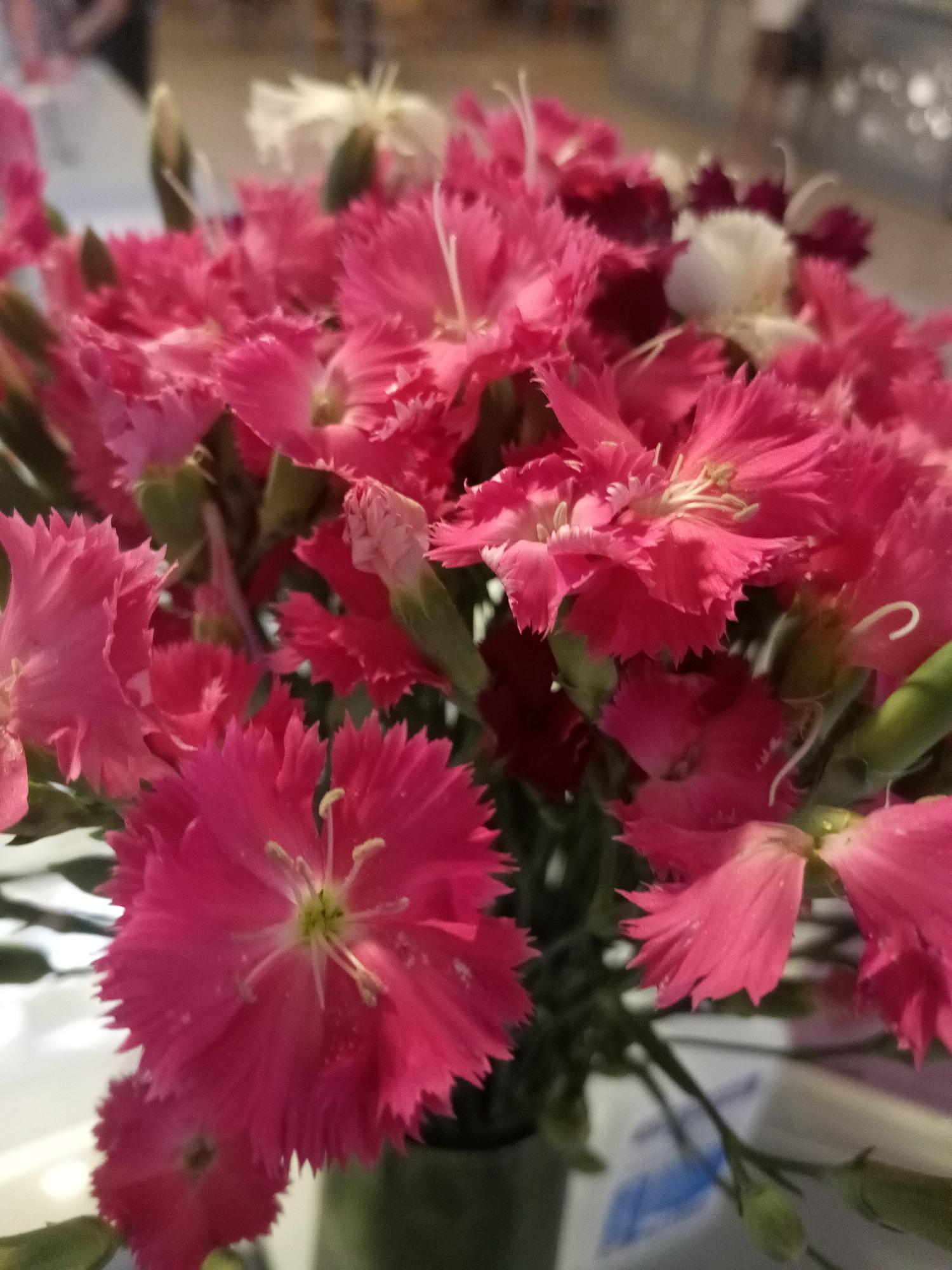 A close-up, shallow depth of field shot shows a bouquet of bright pink carnations. The flowers are densely packed and fill the majority of the frame. Some white and dark pink carnations are visible interspersed among the pink ones. The background is blurred, with hints of light colors and a suggestion of a person in the upper left corner. The image appears to be taken indoors, likely in a domestic setting or at an event.