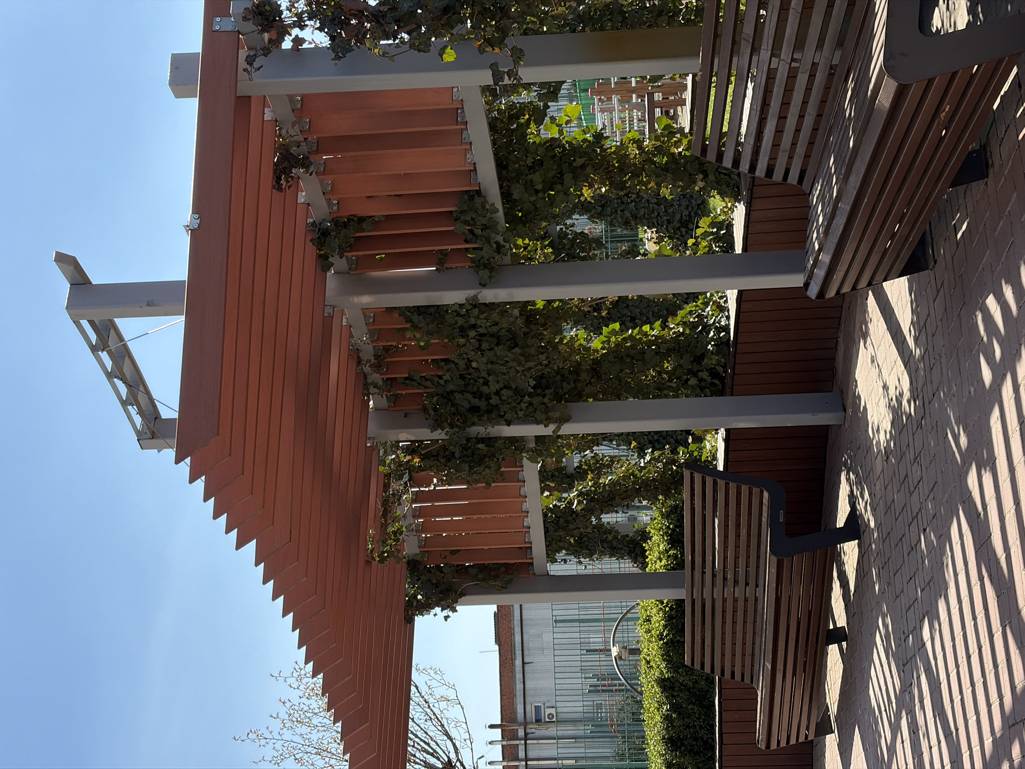 The image shows a pergola structure with wooden slats supported by metal posts, covered in vines, situated in what appears to be a park or public space. Two wooden benches with metal frames are placed under the pergola. The ground is paved with bricks, and shadows from the structure are cast across the pavement. In the background, a building with a reflective facade and green landscaping is visible. The sky is clear and blue. The location is Krasnodar, Russia.