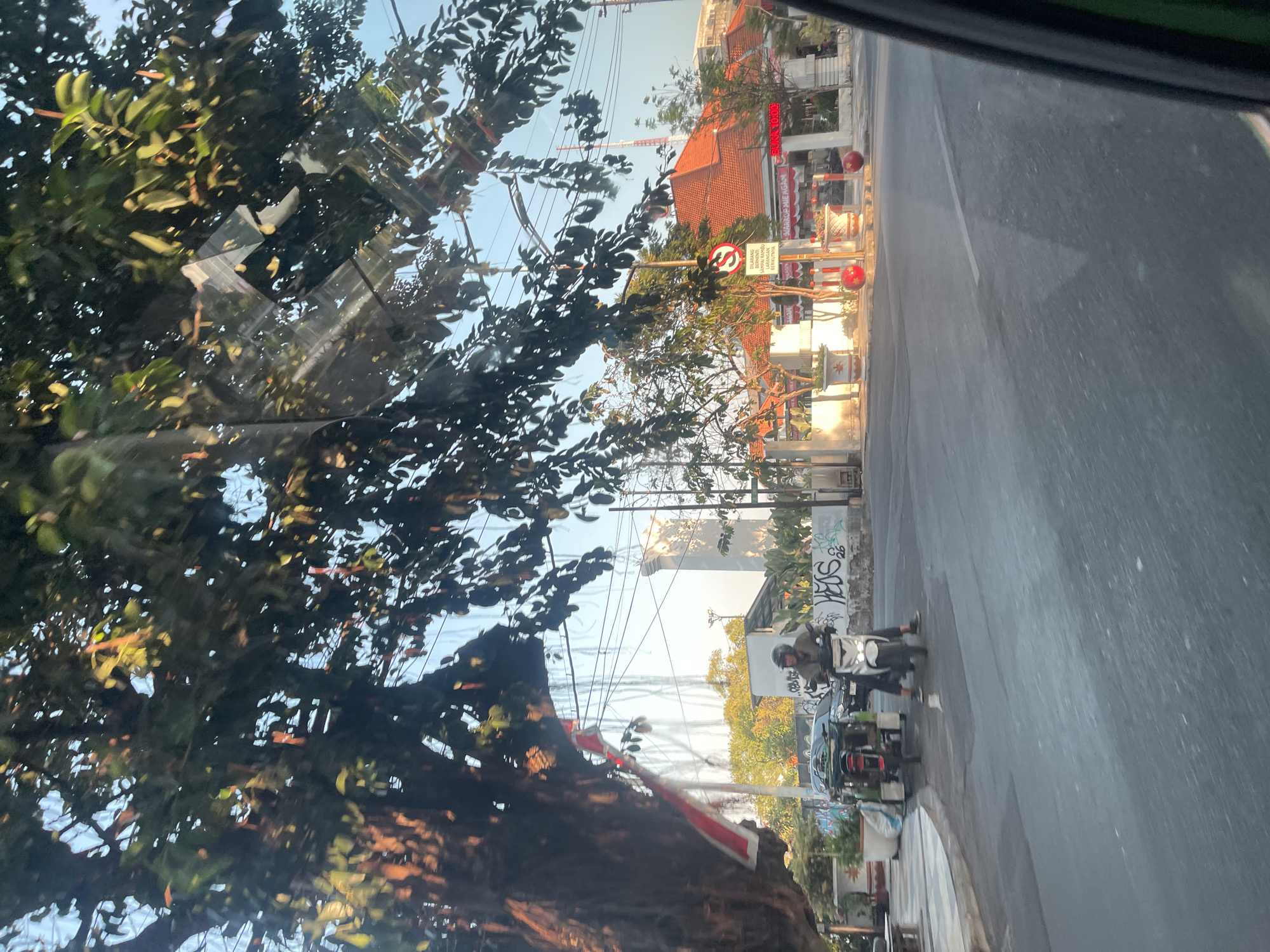 The image depicts a street scene in Surabaya, Indonesia, likely taken from a moving vehicle. A prominent tree with dark green foliage dominates the left side of the frame, its branches partially obscuring the sky and power lines. Sunlight filters through the leaves, creating dappled light effects.
In the mid-ground, a man wearing a helmet rides a scooter. To the left of the scooter, a three-wheeled vehicle is parked. Behind these vehicles, a white building with graffiti on its facade is visible, and further back, buildings with orange tiled roofs are present. A white tower-like structure stands to the left of the orange-roofed buildings. A red and white Indonesian flag is draped over a tree branch on the far left.
A circular traffic sign with a red border and a red diagonal line through a black "S" shape, indicating a no-stopping zone, is positioned on the right side of the road. The road surface is asphalt, with a white lane marking visible. Red spherical decorations are placed along the sidewalk in front of the orange-roofed buildings. The overall atmosphere suggests a sunny day in an urban environment.