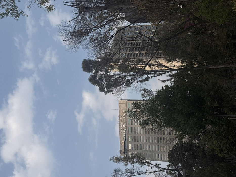 The image looks up through trees to reveal two tall buildings against a cloudy sky. One building prominently displays "PRESIDENTE INTERCONTINENTAL" at its top. The other building is taller with a modern glass façade. The trees frame the view, some bare and some with green foliage, suggesting a transition of seasons.